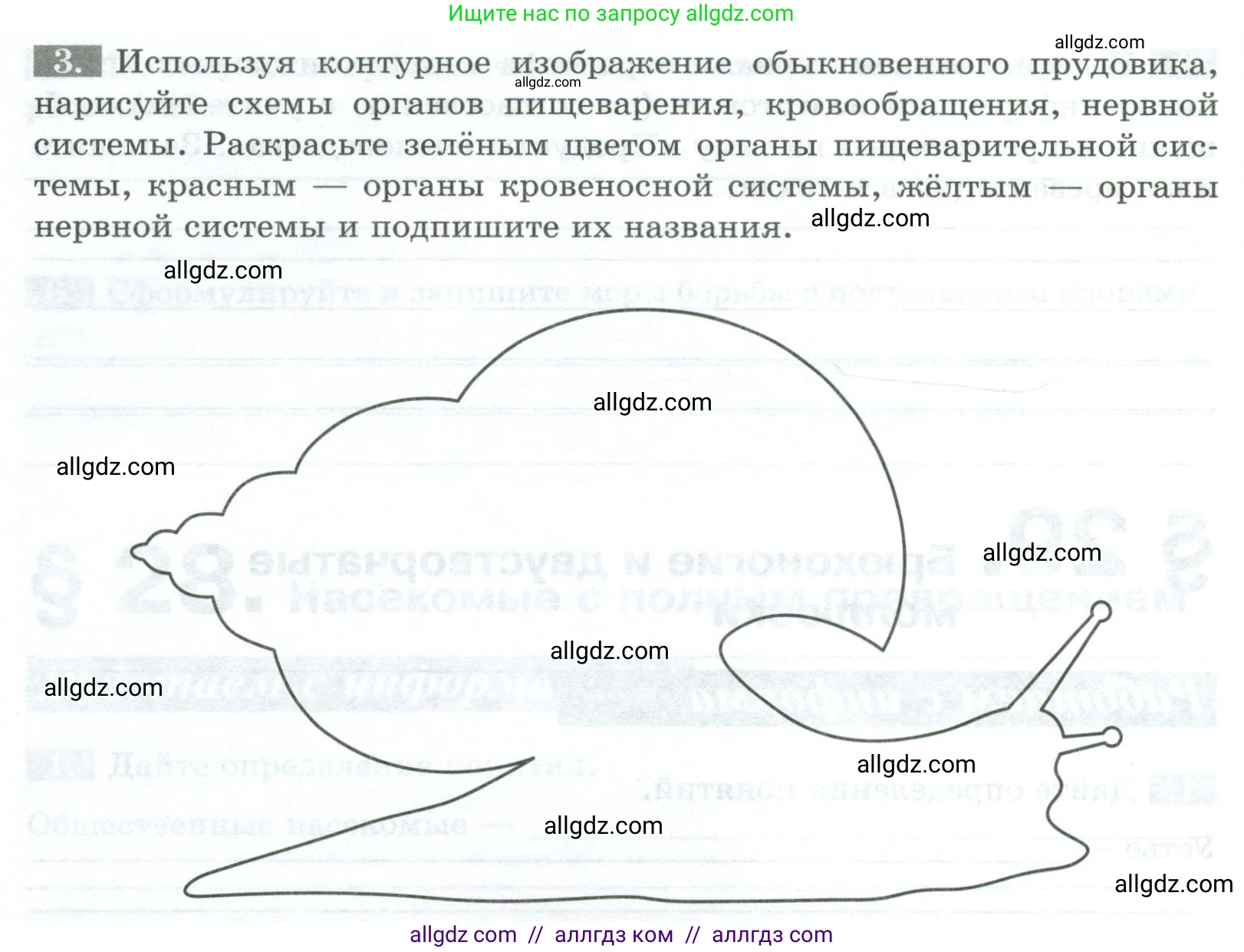 Биология, 8 класс рабочая тетрадь, авторы: Суматохин Сергей Витальевич, Пасечник Владимир Васильевич, Гапонюк Зоя Георгиевна, издательство Просвещение, Москва, 2023, оранжевого цвета, страница 82, номер 3, Условие