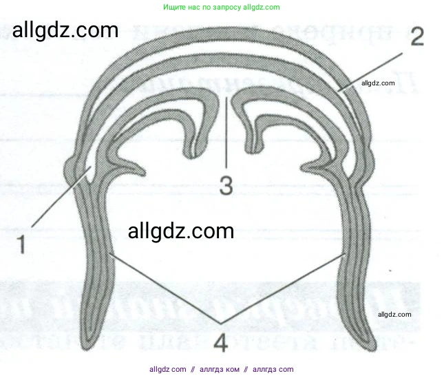 Биология, 8 класс рабочая тетрадь, авторы: Суматохин Сергей Витальевич, Пасечник Владимир Васильевич, Гапонюк Зоя Георгиевна, издательство Просвещение, Москва, 2023, оранжевого цвета, страница 86, номер 6, Условие (продолжение 2)