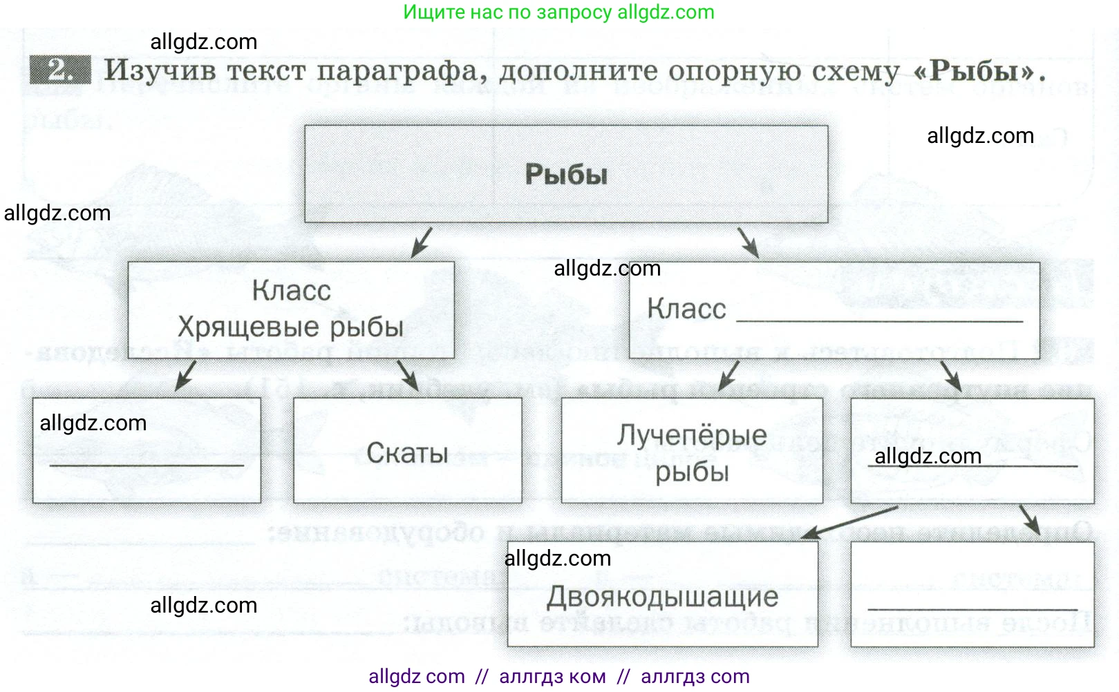 Биология, 8 класс рабочая тетрадь, авторы: Суматохин Сергей Витальевич, Пасечник Владимир Васильевич, Гапонюк Зоя Георгиевна, издательство Просвещение, Москва, 2023, оранжевого цвета, страница 98, номер 2, Условие