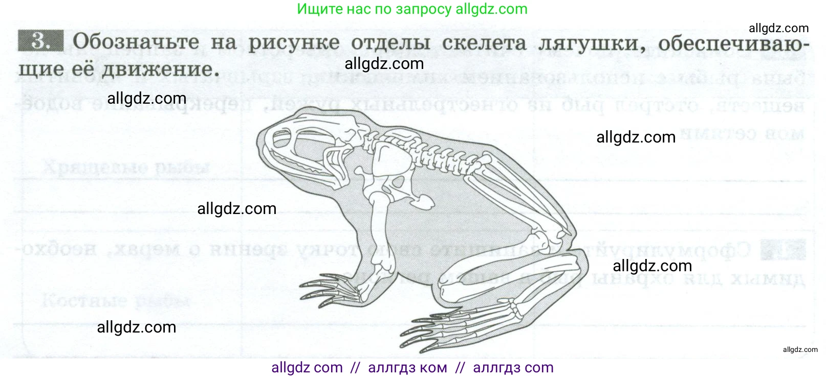 Биология, 8 класс рабочая тетрадь, авторы: Суматохин Сергей Витальевич, Пасечник Владимир Васильевич, Гапонюк Зоя Георгиевна, издательство Просвещение, Москва, 2023, оранжевого цвета, страница 100, номер 3, Условие