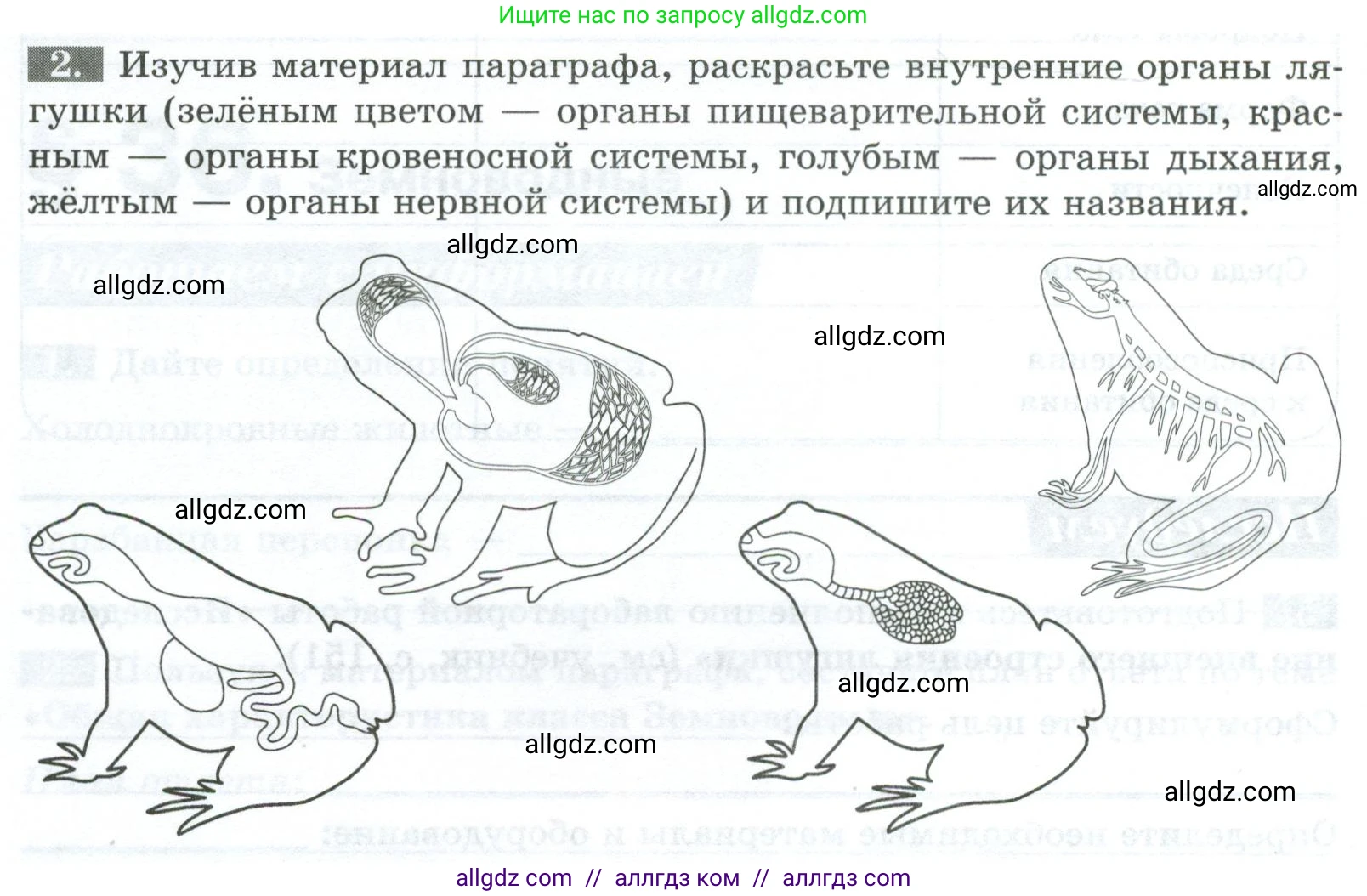 Биология, 8 класс рабочая тетрадь, авторы: Суматохин Сергей Витальевич, Пасечник Владимир Васильевич, Гапонюк Зоя Георгиевна, издательство Просвещение, Москва, 2023, оранжевого цвета, страница 102, номер 2, Условие