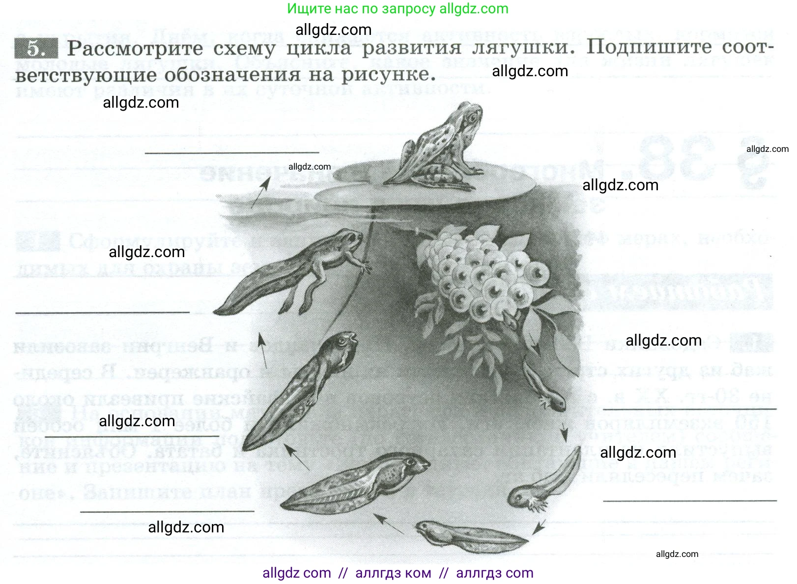 Биология, 8 класс рабочая тетрадь, авторы: Суматохин Сергей Витальевич, Пасечник Владимир Васильевич, Гапонюк Зоя Георгиевна, издательство Просвещение, Москва, 2023, оранжевого цвета, страница 103, номер 5, Условие