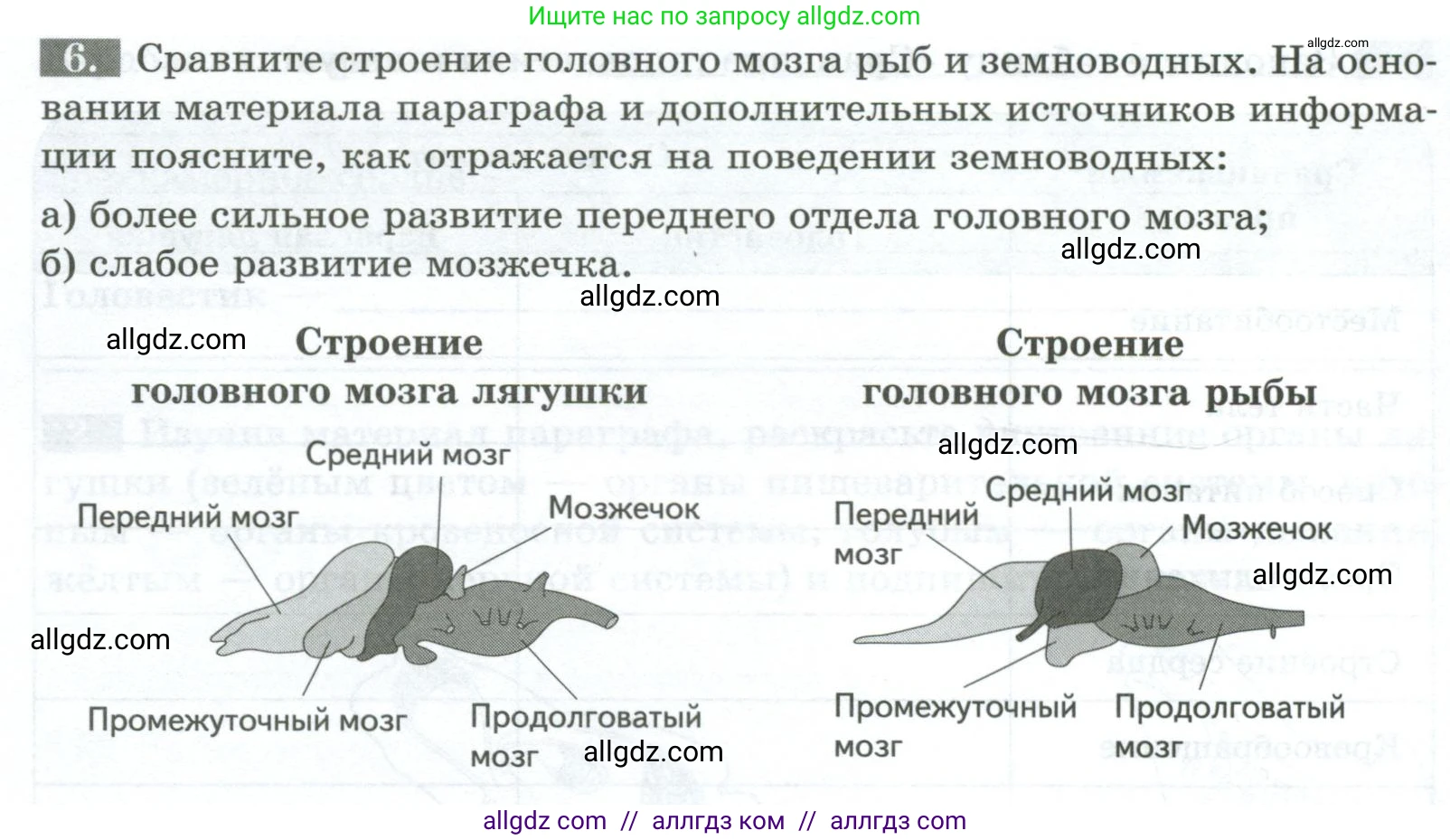 Биология, 8 класс рабочая тетрадь, авторы: Суматохин Сергей Витальевич, Пасечник Владимир Васильевич, Гапонюк Зоя Георгиевна, издательство Просвещение, Москва, 2023, оранжевого цвета, страница 104, номер 6, Условие