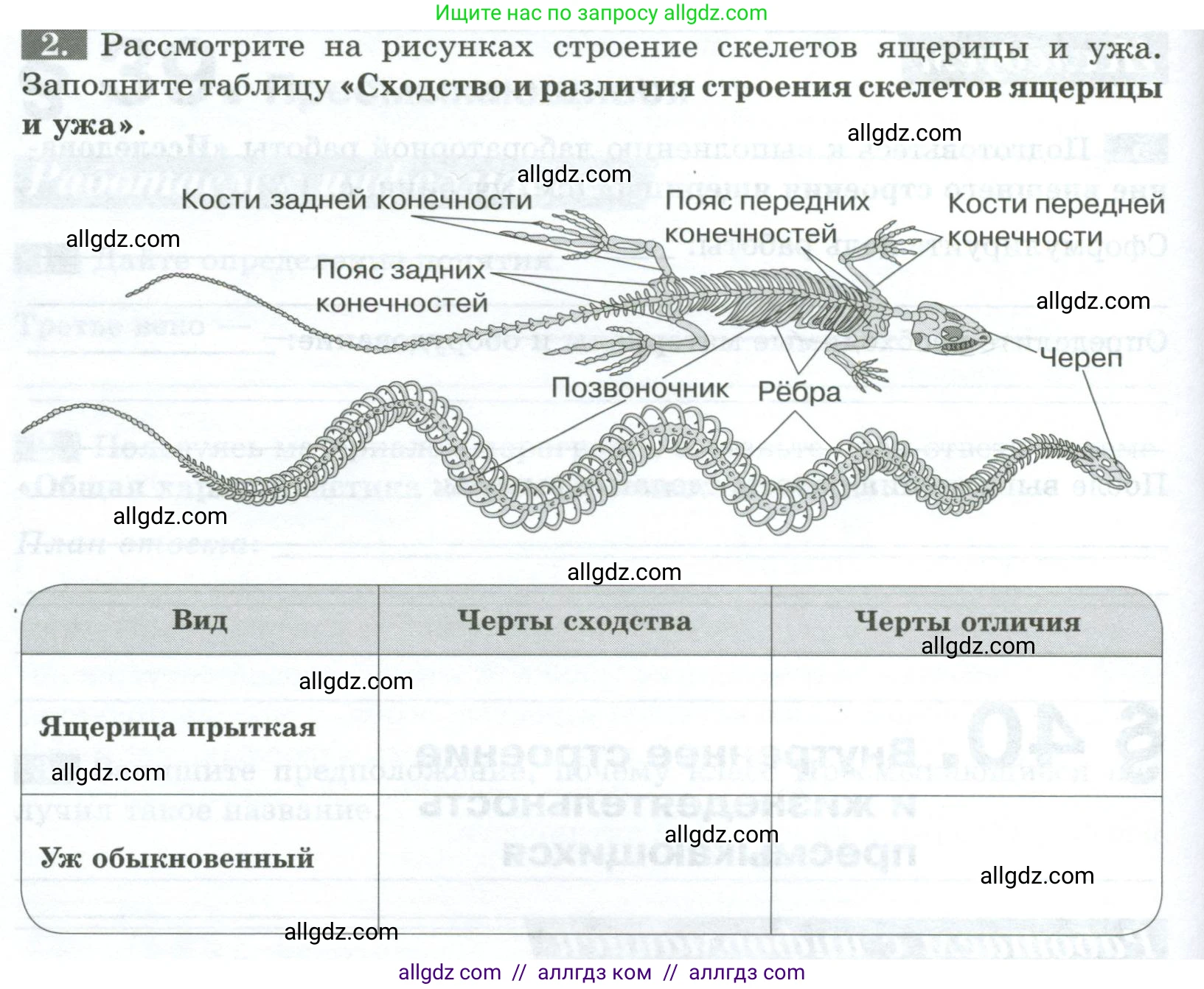 Биология, 8 класс рабочая тетрадь, авторы: Суматохин Сергей Витальевич, Пасечник Владимир Васильевич, Гапонюк Зоя Георгиевна, издательство Просвещение, Москва, 2023, оранжевого цвета, страница 108, номер 2, Условие