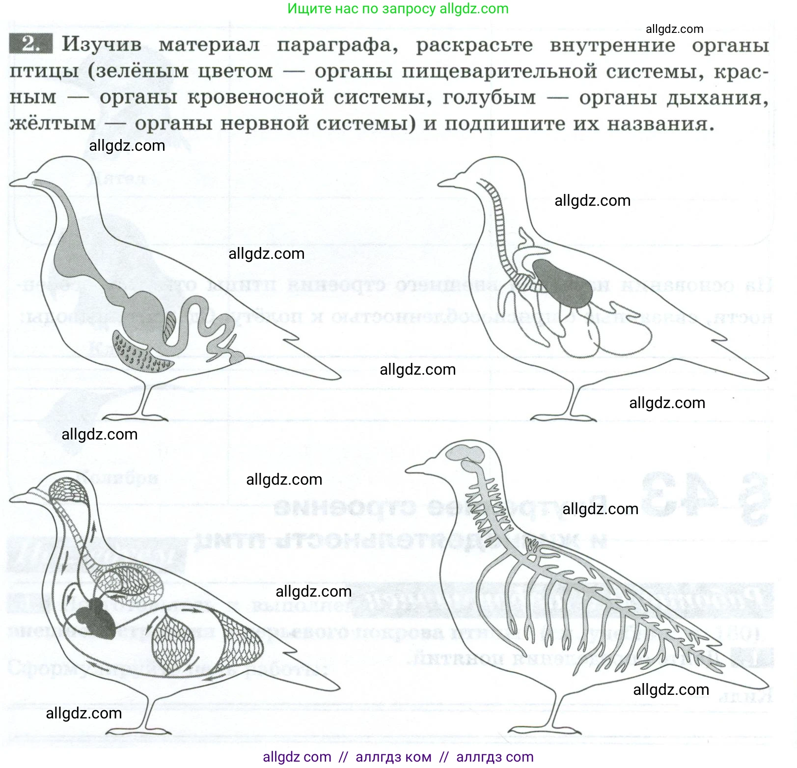 Биология, 8 класс рабочая тетрадь, авторы: Суматохин Сергей Витальевич, Пасечник Владимир Васильевич, Гапонюк Зоя Георгиевна, издательство Просвещение, Москва, 2023, оранжевого цвета, страница 114, номер 2, Условие