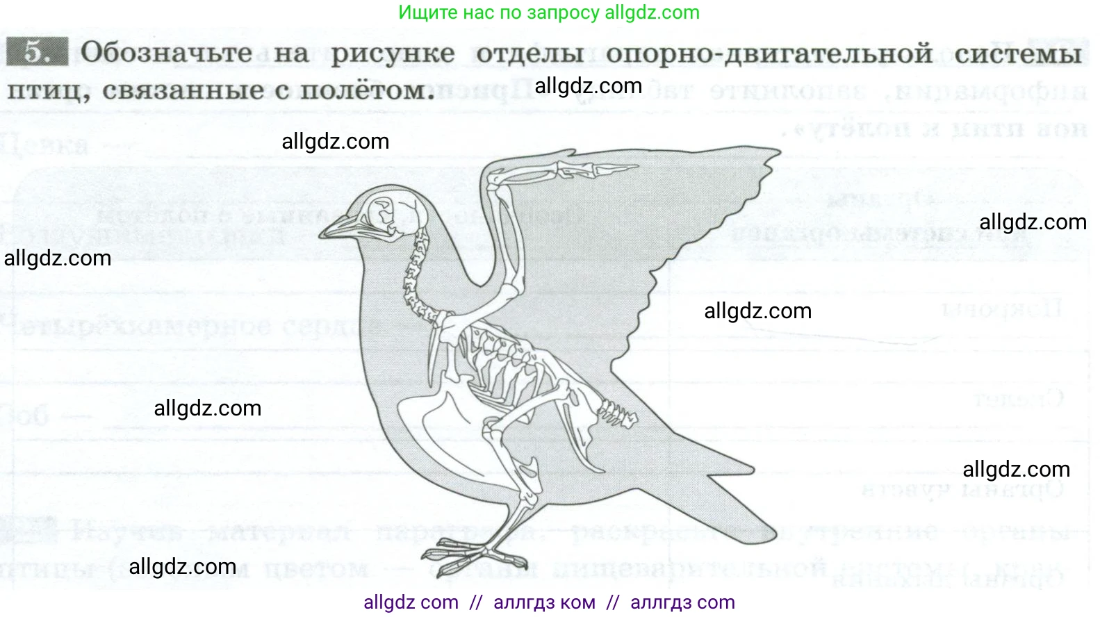 Биология, 8 класс рабочая тетрадь, авторы: Суматохин Сергей Витальевич, Пасечник Владимир Васильевич, Гапонюк Зоя Георгиевна, издательство Просвещение, Москва, 2023, оранжевого цвета, страница 116, номер 5, Условие
