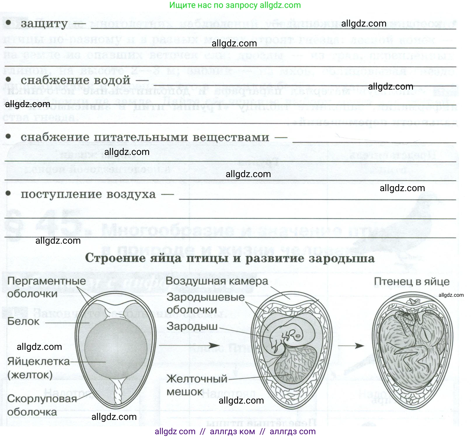 Биология, 8 класс рабочая тетрадь, авторы: Суматохин Сергей Витальевич, Пасечник Владимир Васильевич, Гапонюк Зоя Георгиевна, издательство Просвещение, Москва, 2023, оранжевого цвета, страница 116, номер 1, Условие (продолжение 2)