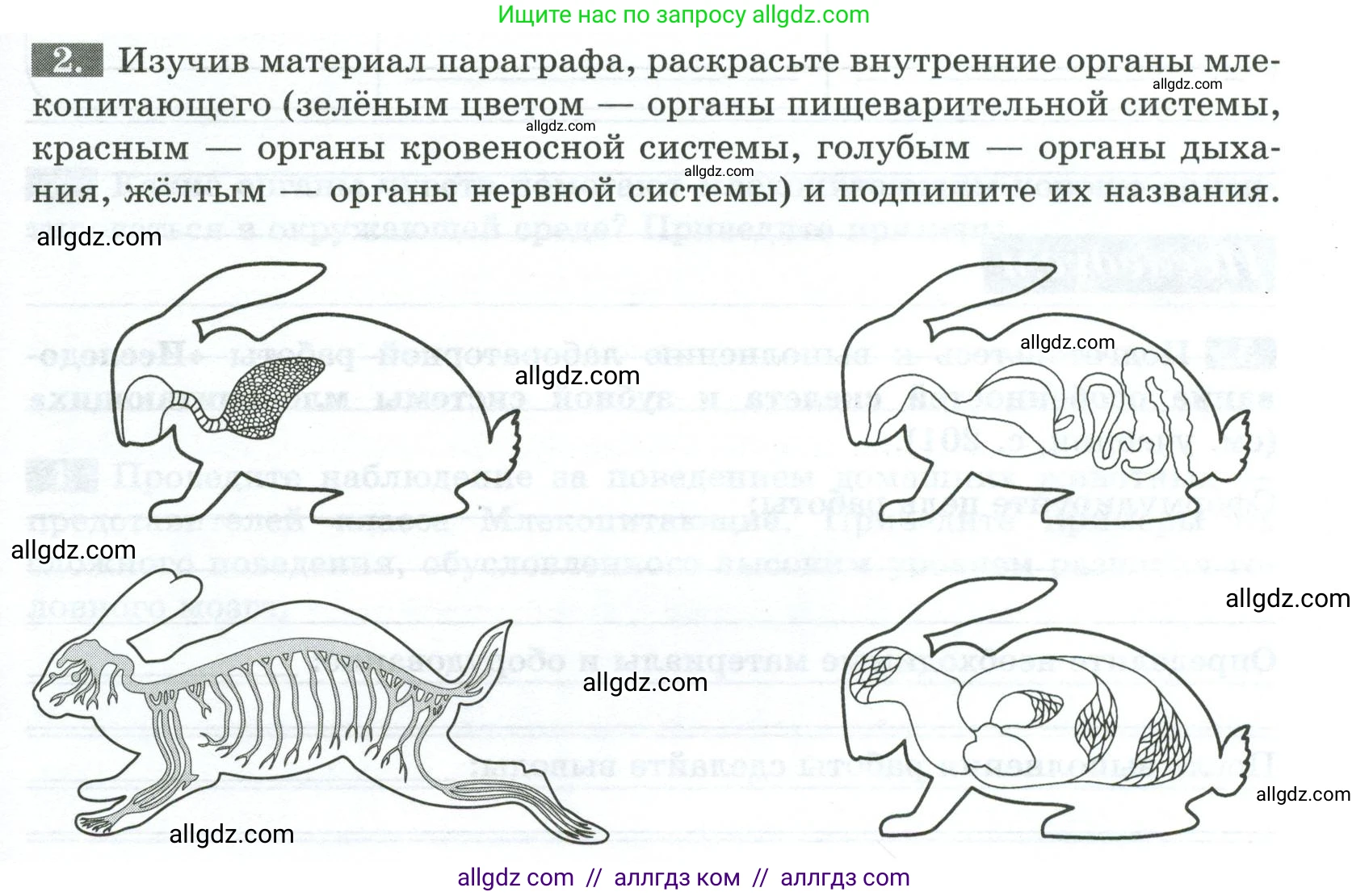 Биология, 8 класс рабочая тетрадь, авторы: Суматохин Сергей Витальевич, Пасечник Владимир Васильевич, Гапонюк Зоя Георгиевна, издательство Просвещение, Москва, 2023, оранжевого цвета, страница 123, номер 2, Условие