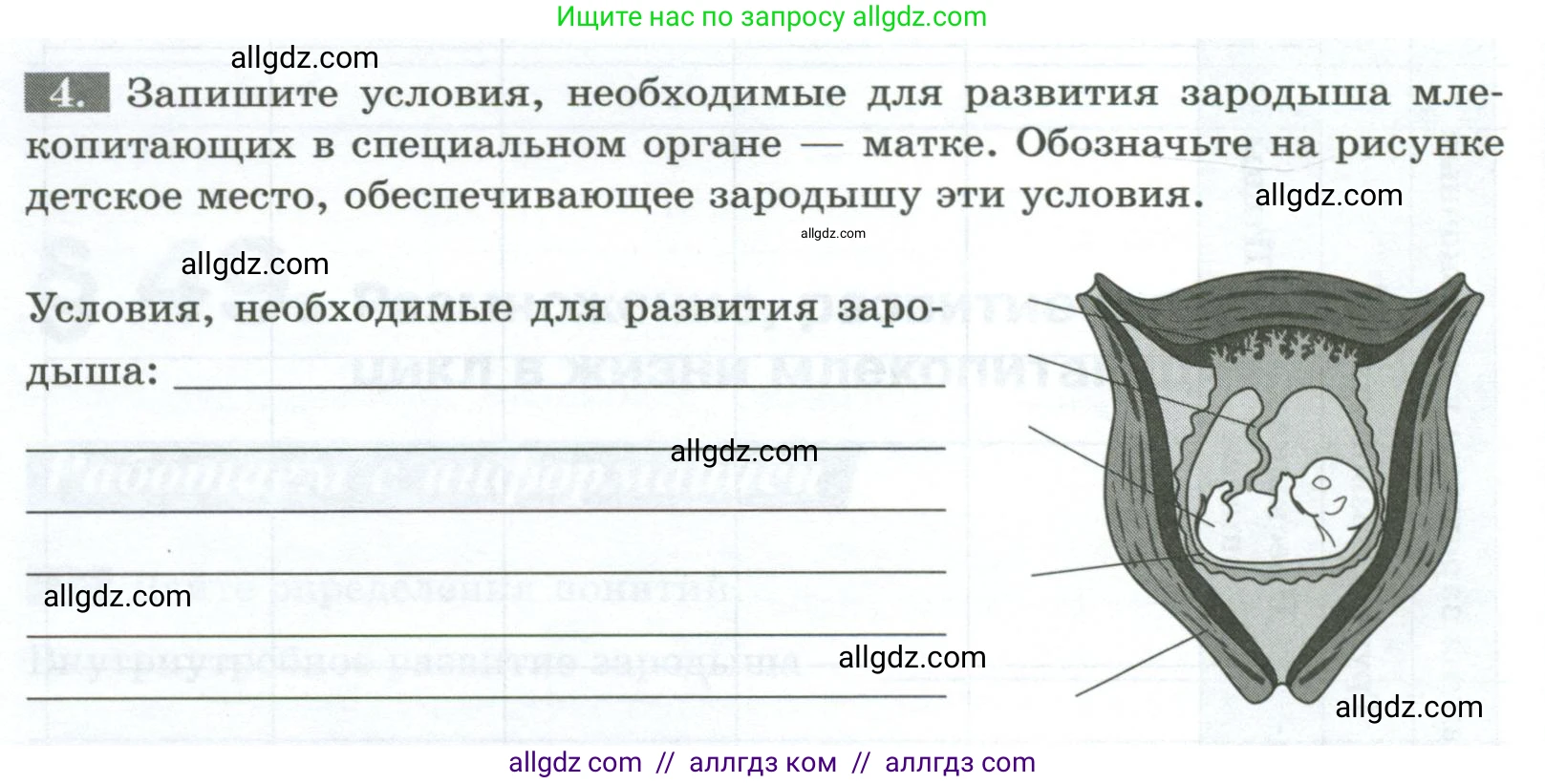 Биология, 8 класс рабочая тетрадь, авторы: Суматохин Сергей Витальевич, Пасечник Владимир Васильевич, Гапонюк Зоя Георгиевна, издательство Просвещение, Москва, 2023, оранжевого цвета, страница 128, номер 4, Условие