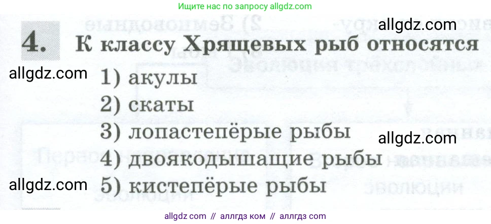 Биология, 8 класс рабочая тетрадь, авторы: Суматохин Сергей Витальевич, Пасечник Владимир Васильевич, Гапонюк Зоя Георгиевна, издательство Просвещение, Москва, 2023, оранжевого цвета, страница 133, номер 4, Условие
