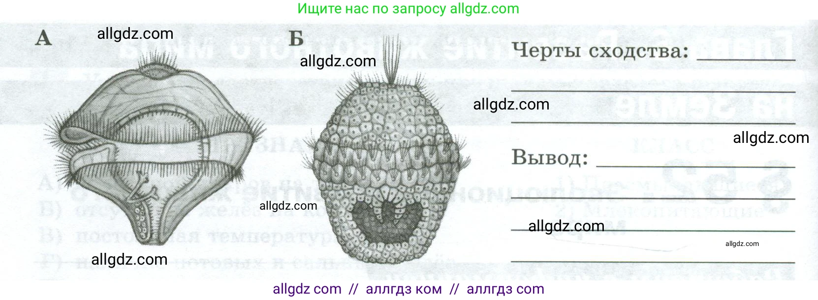 Биология, 8 класс рабочая тетрадь, авторы: Суматохин Сергей Витальевич, Пасечник Владимир Васильевич, Гапонюк Зоя Георгиевна, издательство Просвещение, Москва, 2023, оранжевого цвета, страница 135, номер 3, Условие (продолжение 2)