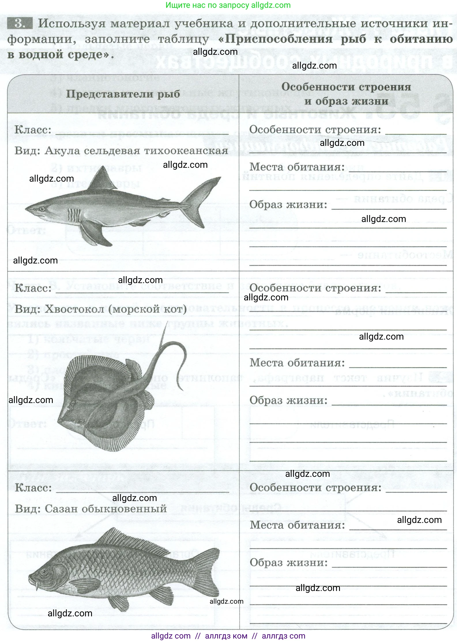 Биология, 8 класс рабочая тетрадь, авторы: Суматохин Сергей Витальевич, Пасечник Владимир Васильевич, Гапонюк Зоя Георгиевна, издательство Просвещение, Москва, 2023, оранжевого цвета, страница 142, номер 3, Условие