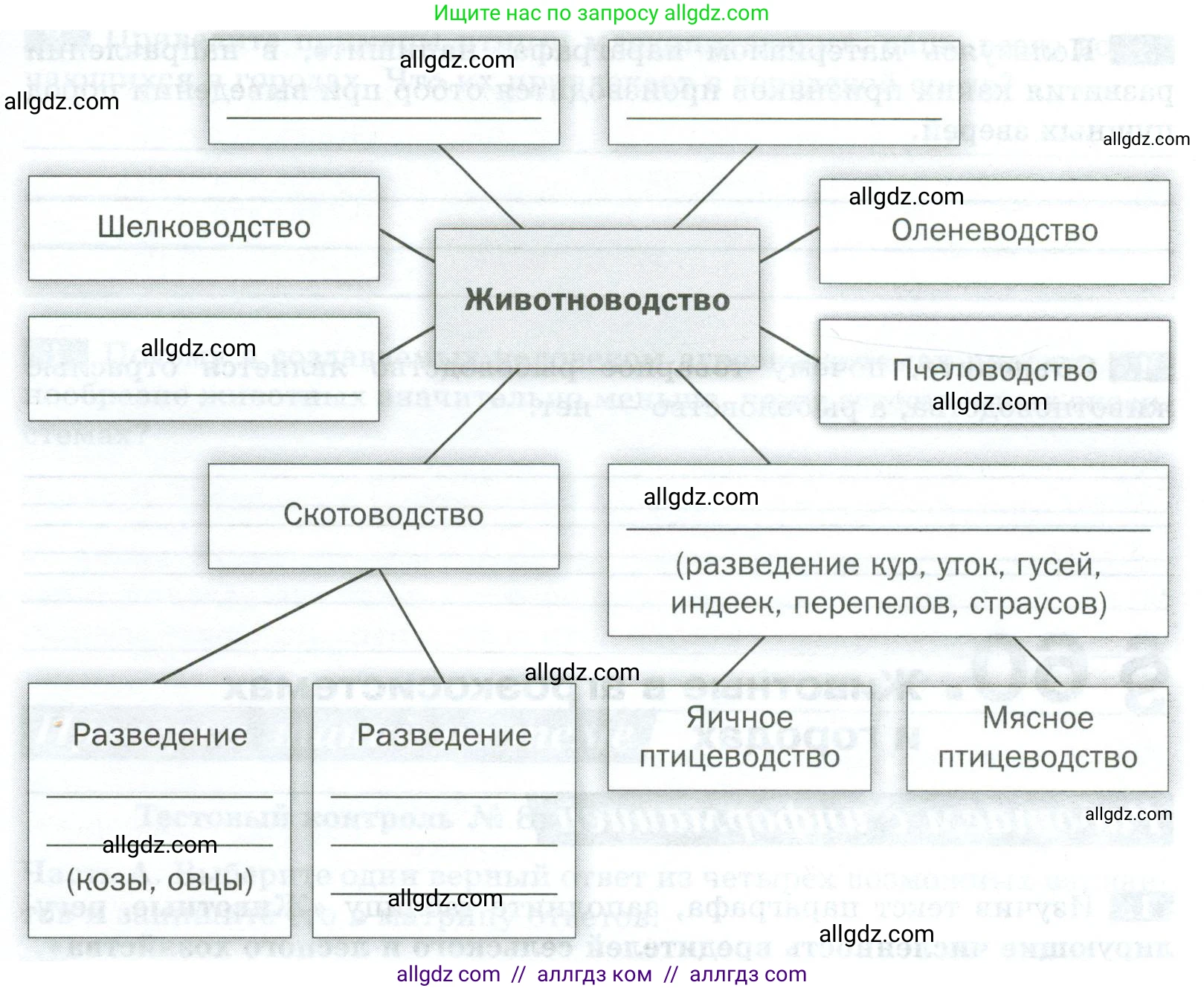 Биология, 8 класс рабочая тетрадь, авторы: Суматохин Сергей Витальевич, Пасечник Владимир Васильевич, Гапонюк Зоя Георгиевна, издательство Просвещение, Москва, 2023, оранжевого цвета, страница 150, номер 1, Условие (продолжение 2)