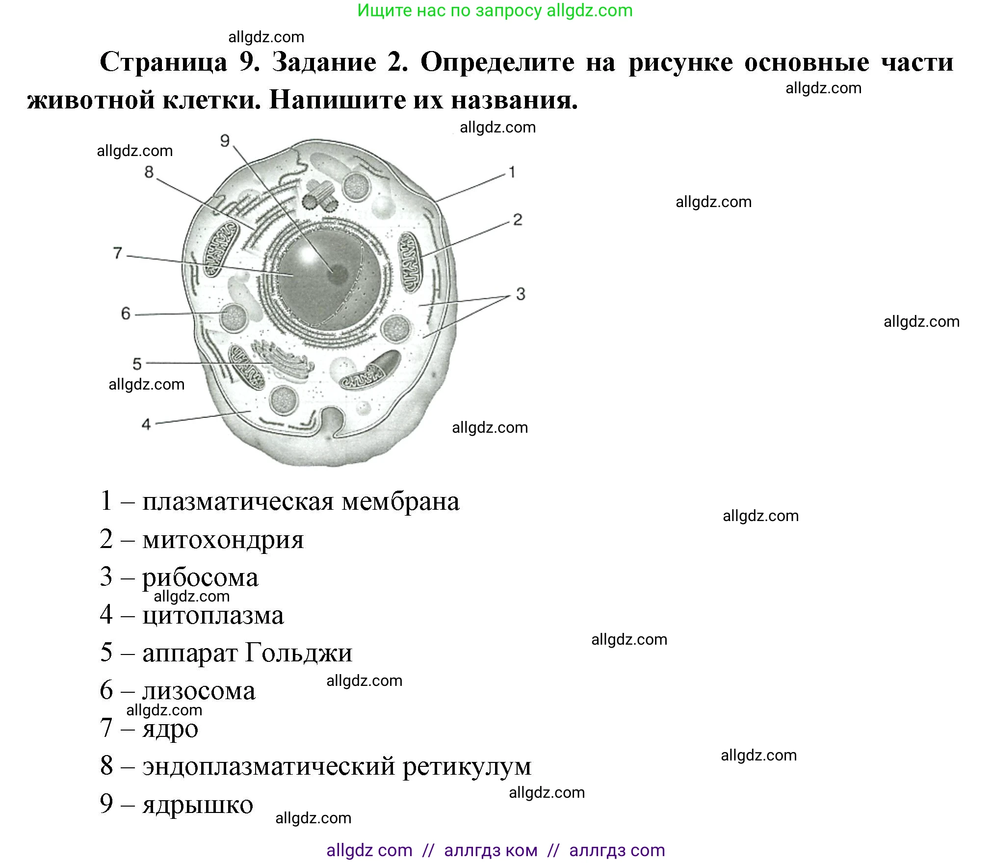 Биология, 8 класс рабочая тетрадь, авторы: Суматохин Сергей Витальевич, Пасечник Владимир Васильевич, Гапонюк Зоя Георгиевна, издательство Просвещение, Москва, 2023, оранжевого цвета, страница 9, номер 2, Решение