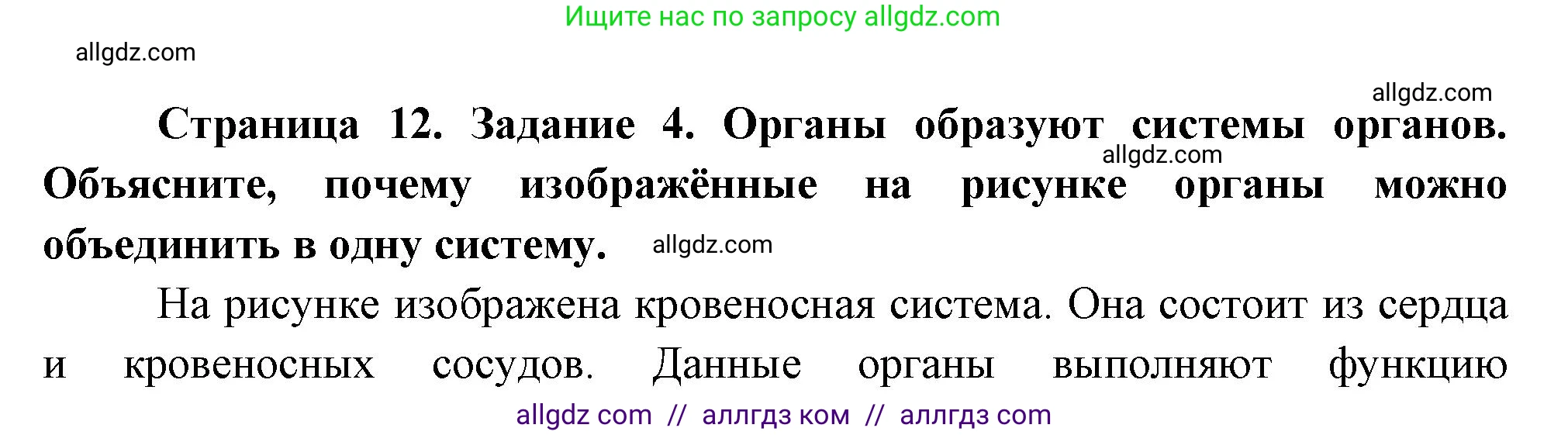 Биология, 8 класс рабочая тетрадь, авторы: Суматохин Сергей Витальевич, Пасечник Владимир Васильевич, Гапонюк Зоя Георгиевна, издательство Просвещение, Москва, 2023, оранжевого цвета, страница 12, номер 4, Решение