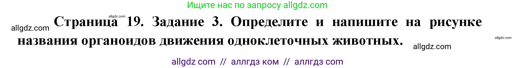 Биология, 8 класс рабочая тетрадь, авторы: Суматохин Сергей Витальевич, Пасечник Владимир Васильевич, Гапонюк Зоя Георгиевна, издательство Просвещение, Москва, 2023, оранжевого цвета, страница 19, номер 3, Решение