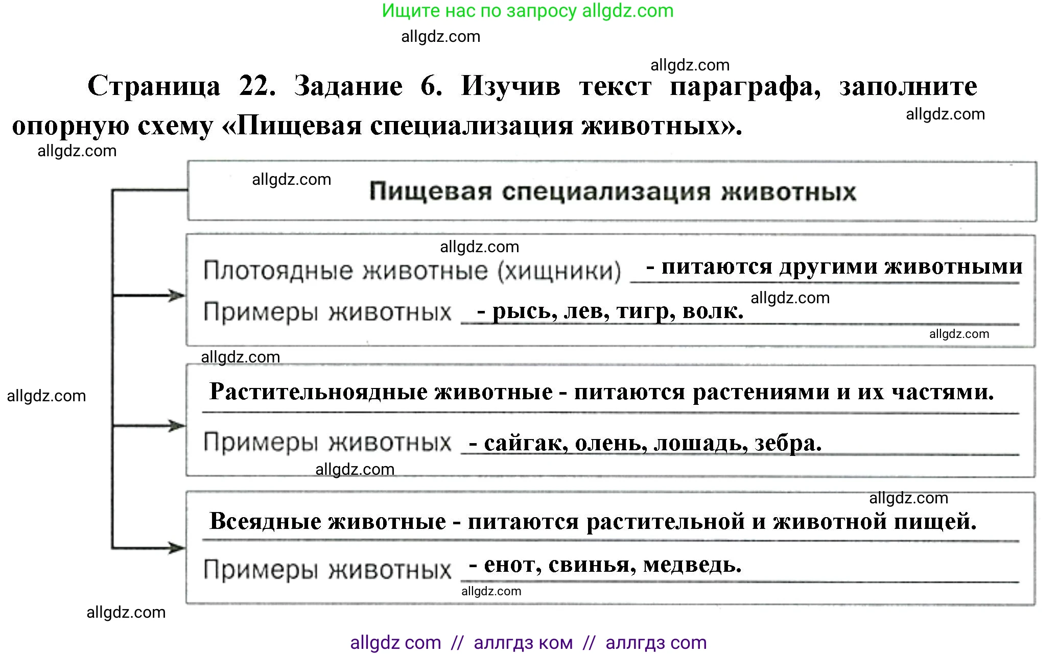 Биология, 8 класс рабочая тетрадь, авторы: Суматохин Сергей Витальевич, Пасечник Владимир Васильевич, Гапонюк Зоя Георгиевна, издательство Просвещение, Москва, 2023, оранжевого цвета, страница 22, номер 6, Решение