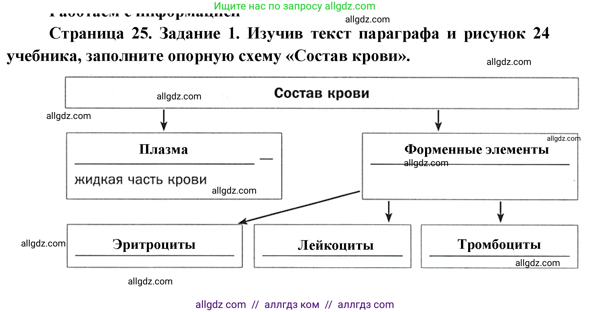 Биология, 8 класс рабочая тетрадь, авторы: Суматохин Сергей Витальевич, Пасечник Владимир Васильевич, Гапонюк Зоя Георгиевна, издательство Просвещение, Москва, 2023, оранжевого цвета, страница 25, номер 1, Решение