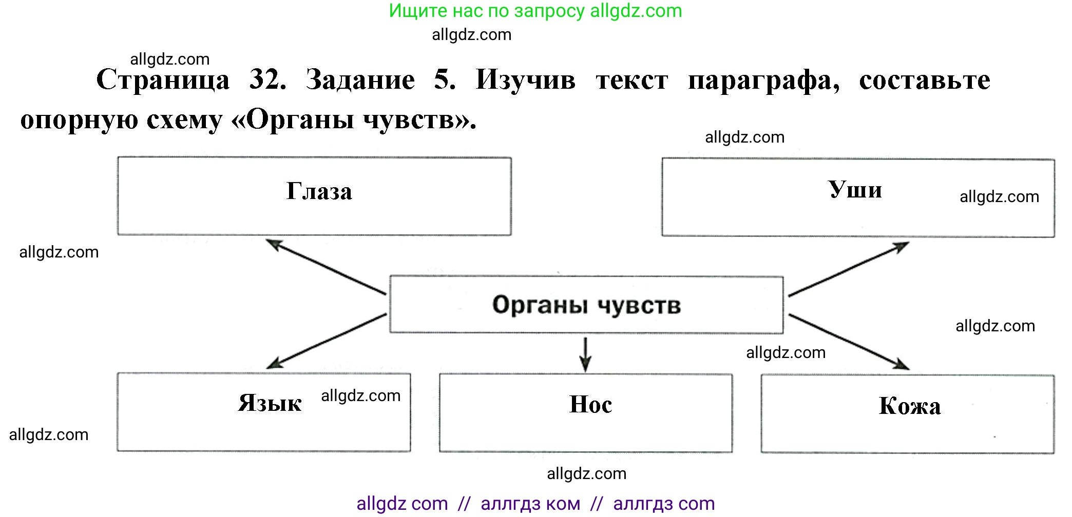Биология, 8 класс рабочая тетрадь, авторы: Суматохин Сергей Витальевич, Пасечник Владимир Васильевич, Гапонюк Зоя Георгиевна, издательство Просвещение, Москва, 2023, оранжевого цвета, страница 32, номер 5, Решение