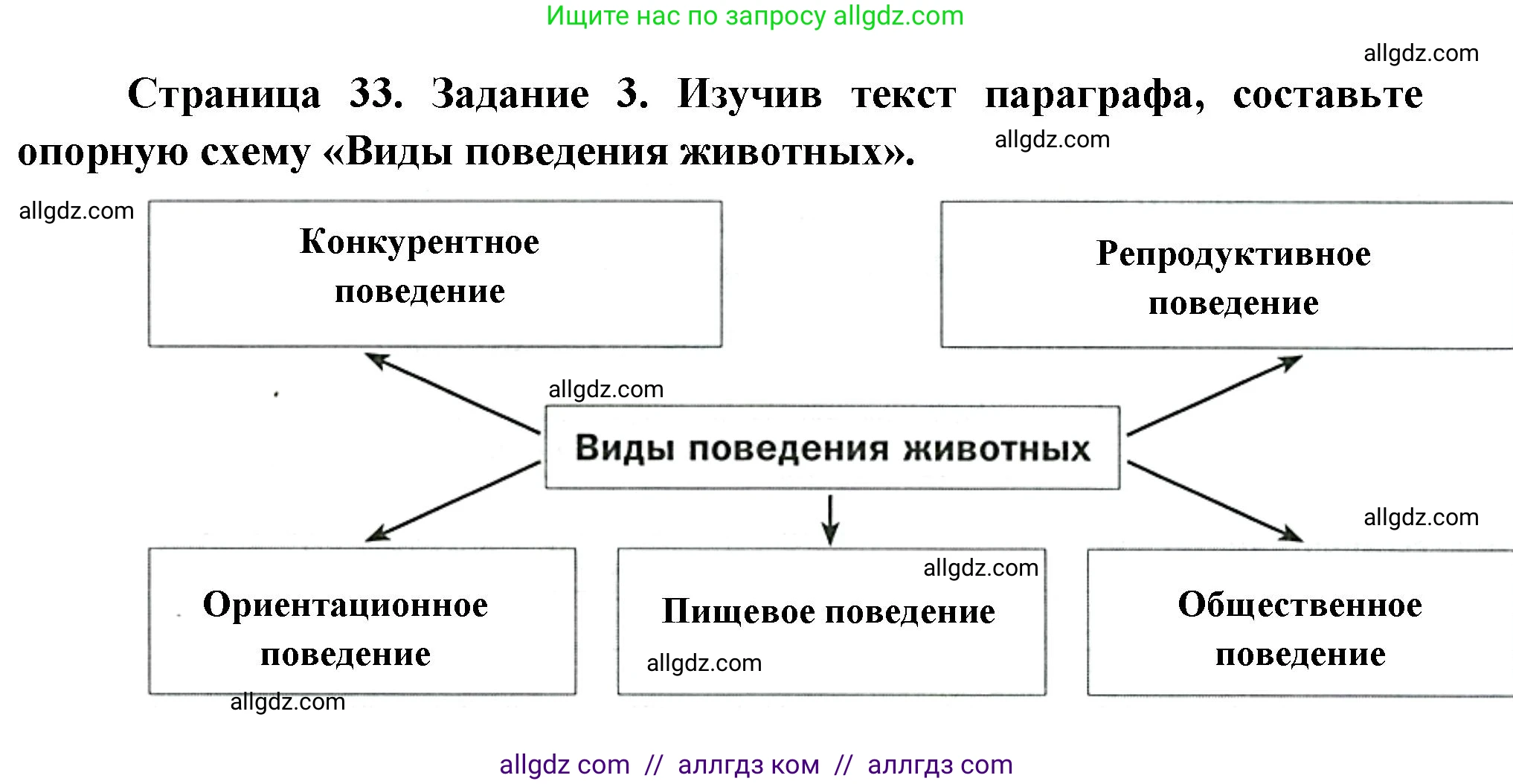 Биология, 8 класс рабочая тетрадь, авторы: Суматохин Сергей Витальевич, Пасечник Владимир Васильевич, Гапонюк Зоя Георгиевна, издательство Просвещение, Москва, 2023, оранжевого цвета, страница 33, номер 3, Решение