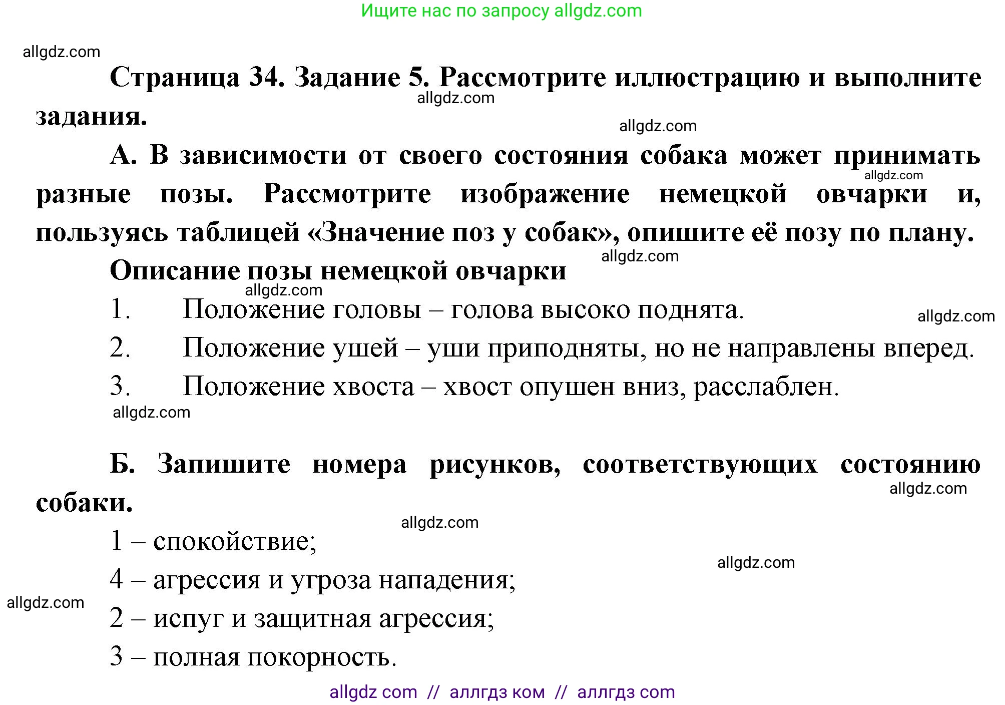 Биология, 8 класс рабочая тетрадь, авторы: Суматохин Сергей Витальевич, Пасечник Владимир Васильевич, Гапонюк Зоя Георгиевна, издательство Просвещение, Москва, 2023, оранжевого цвета, страница 34, номер 5, Решение