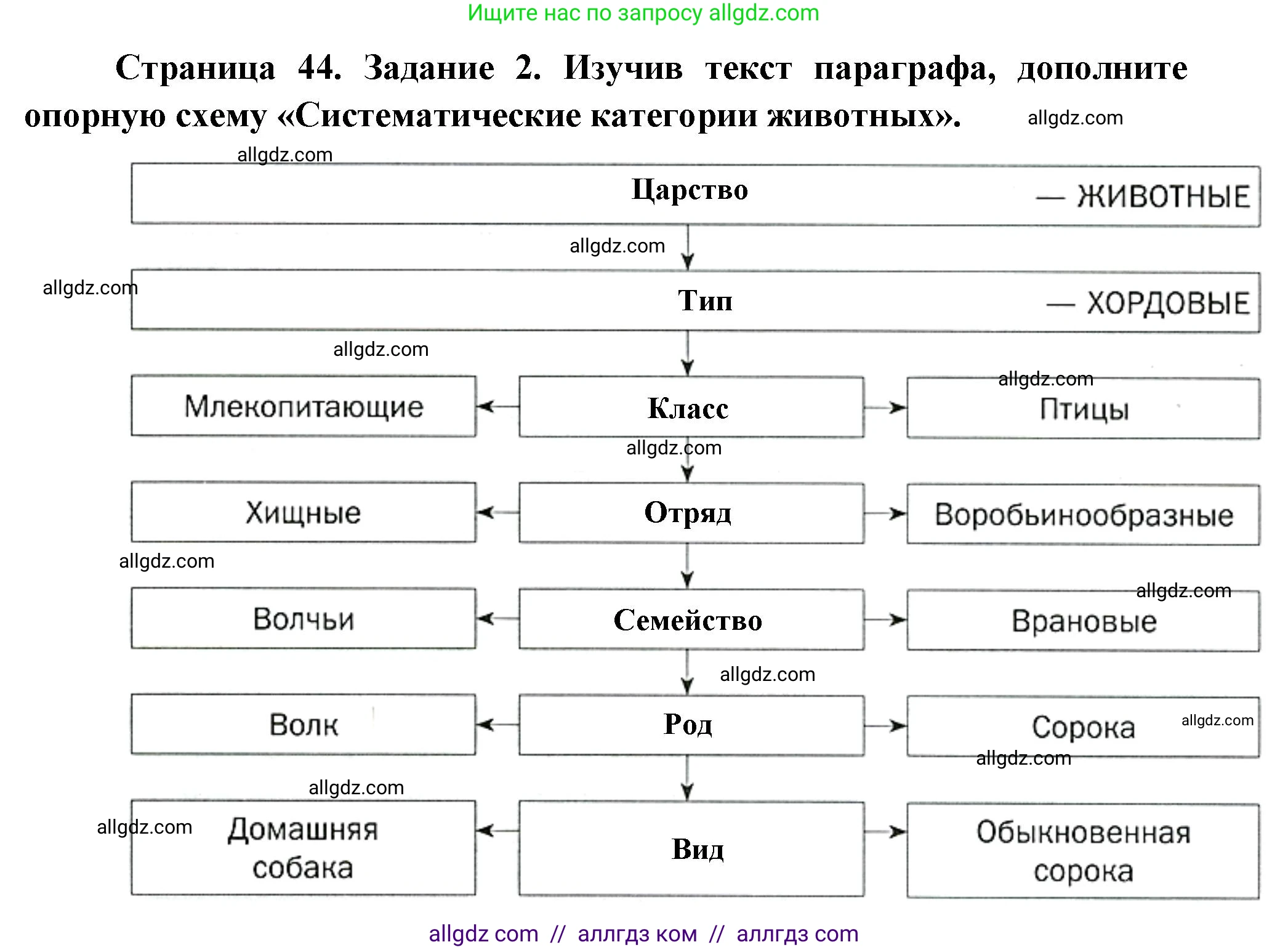 Биология, 8 класс рабочая тетрадь, авторы: Суматохин Сергей Витальевич, Пасечник Владимир Васильевич, Гапонюк Зоя Георгиевна, издательство Просвещение, Москва, 2023, оранжевого цвета, страница 44, номер 2, Решение