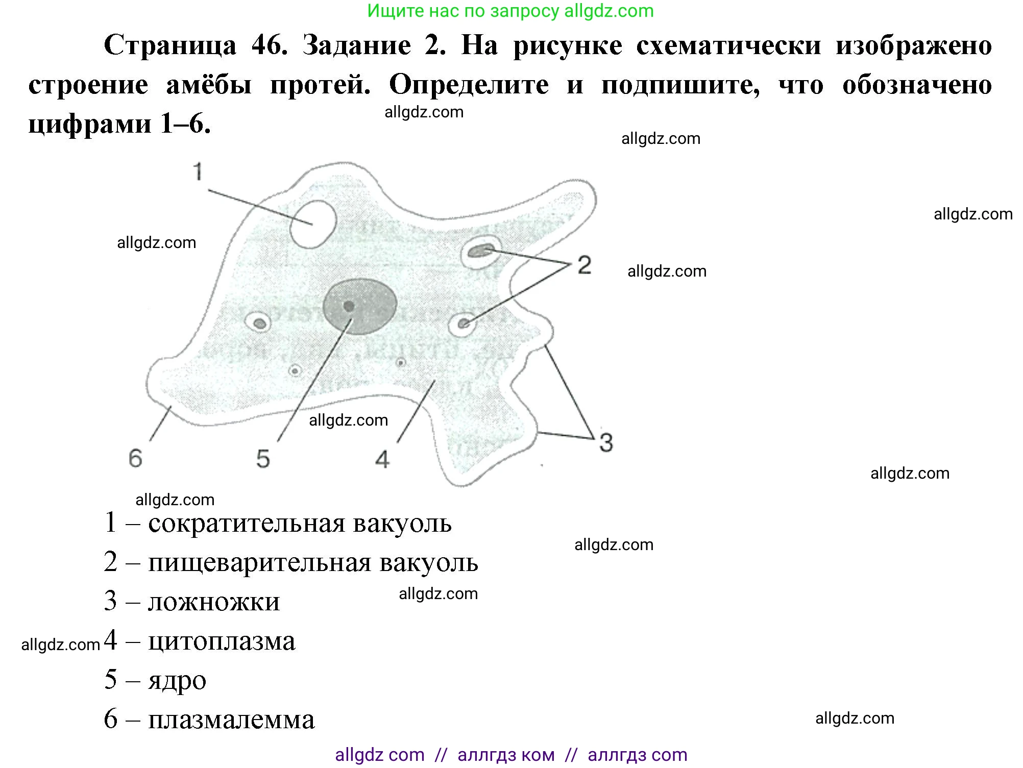 Биология, 8 класс рабочая тетрадь, авторы: Суматохин Сергей Витальевич, Пасечник Владимир Васильевич, Гапонюк Зоя Георгиевна, издательство Просвещение, Москва, 2023, оранжевого цвета, страница 46, номер 2, Решение