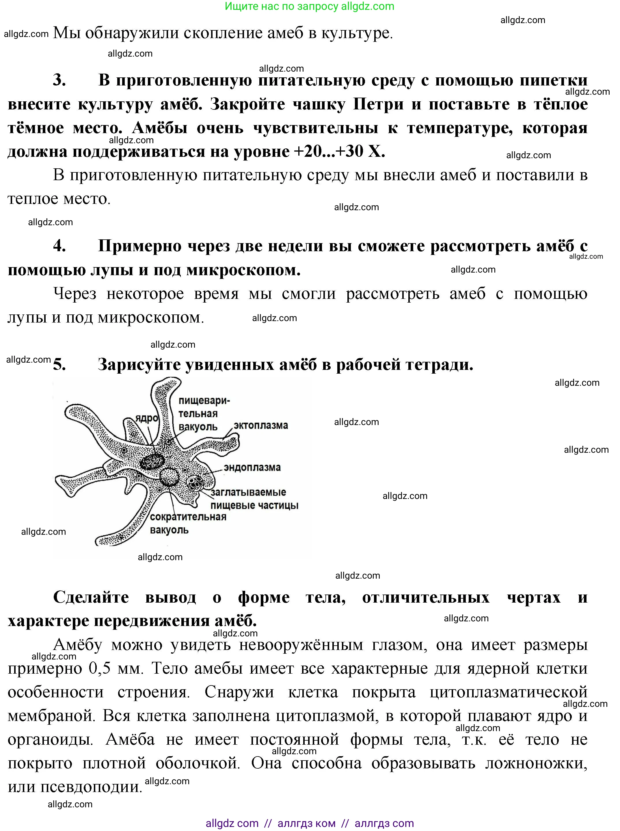 Биология, 8 класс рабочая тетрадь, авторы: Суматохин Сергей Витальевич, Пасечник Владимир Васильевич, Гапонюк Зоя Георгиевна, издательство Просвещение, Москва, 2023, оранжевого цвета, страница 47, номер 5, Решение (продолжение 2)