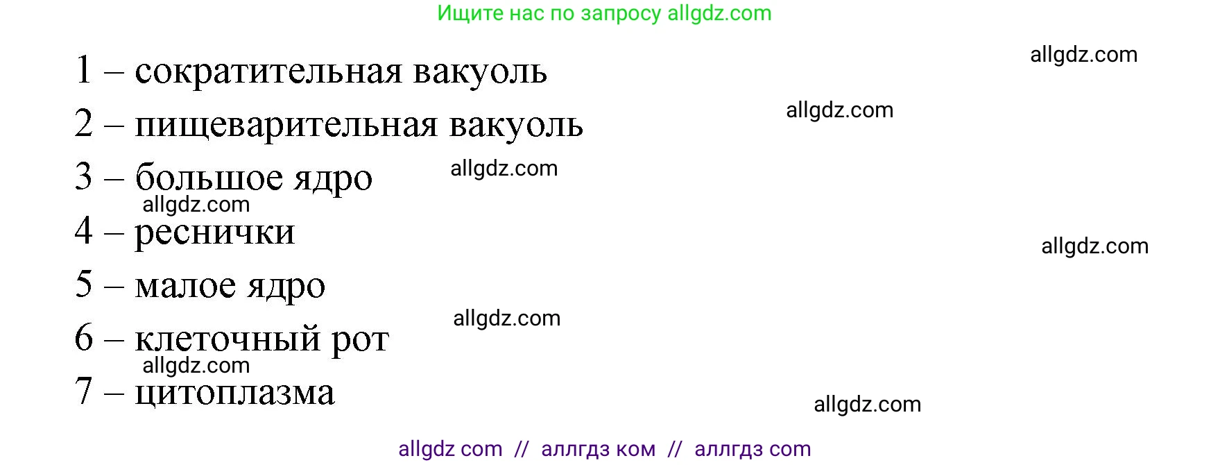 Биология, 8 класс рабочая тетрадь, авторы: Суматохин Сергей Витальевич, Пасечник Владимир Васильевич, Гапонюк Зоя Георгиевна, издательство Просвещение, Москва, 2023, оранжевого цвета, страница 49, номер 3, Решение (продолжение 2)