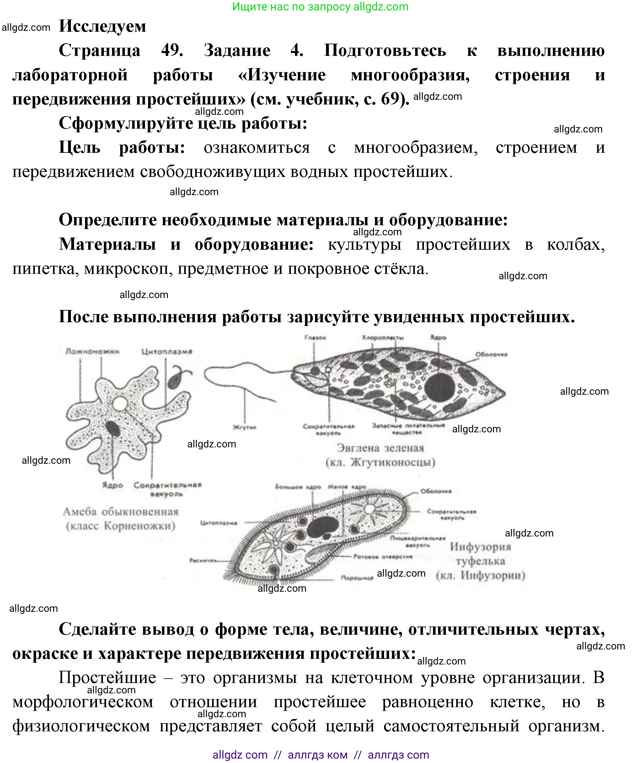 Биология, 8 класс рабочая тетрадь, авторы: Суматохин Сергей Витальевич, Пасечник Владимир Васильевич, Гапонюк Зоя Георгиевна, издательство Просвещение, Москва, 2023, оранжевого цвета, страница 49, номер 4, Решение