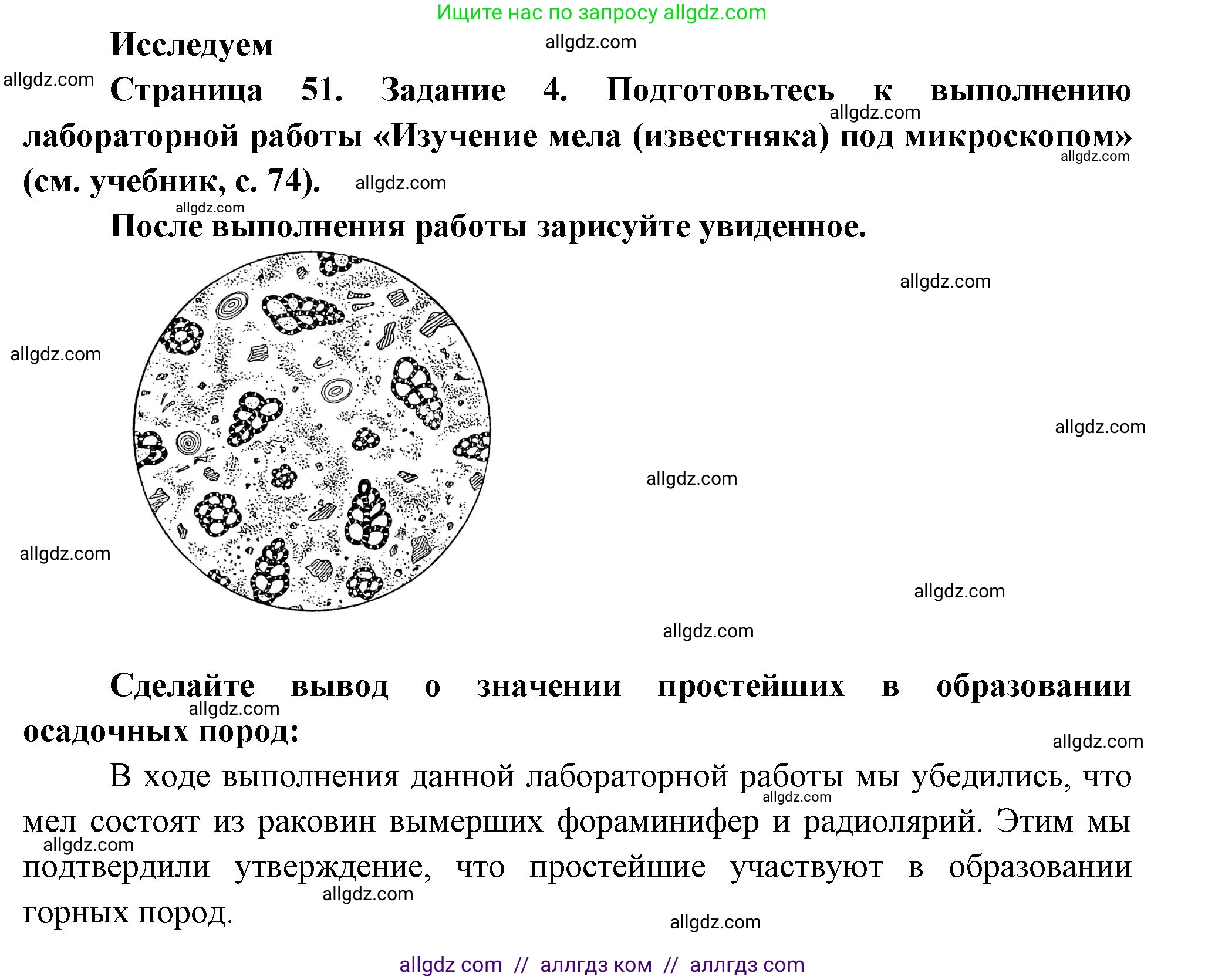 Биология, 8 класс рабочая тетрадь, авторы: Суматохин Сергей Витальевич, Пасечник Владимир Васильевич, Гапонюк Зоя Георгиевна, издательство Просвещение, Москва, 2023, оранжевого цвета, страница 51, номер 4, Решение