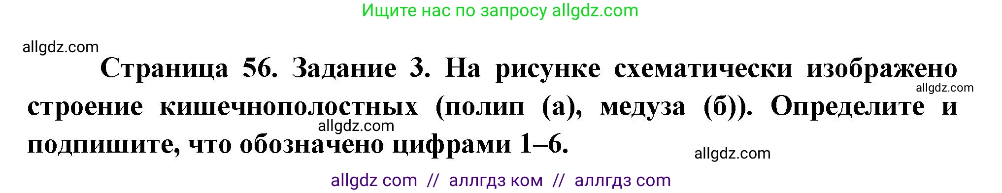 Биология, 8 класс рабочая тетрадь, авторы: Суматохин Сергей Витальевич, Пасечник Владимир Васильевич, Гапонюк Зоя Георгиевна, издательство Просвещение, Москва, 2023, оранжевого цвета, страница 56, номер 3, Решение