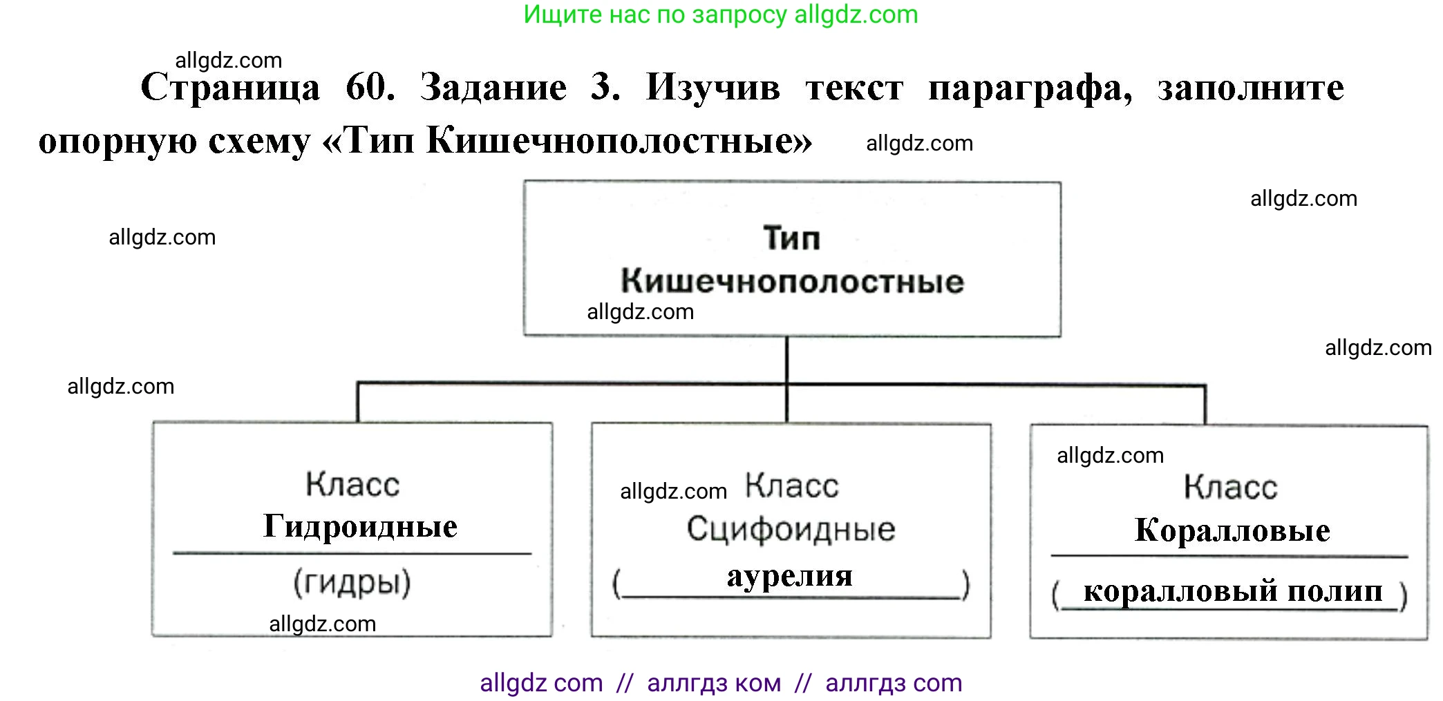 Биология, 8 класс рабочая тетрадь, авторы: Суматохин Сергей Витальевич, Пасечник Владимир Васильевич, Гапонюк Зоя Георгиевна, издательство Просвещение, Москва, 2023, оранжевого цвета, страница 60, номер 3, Решение
