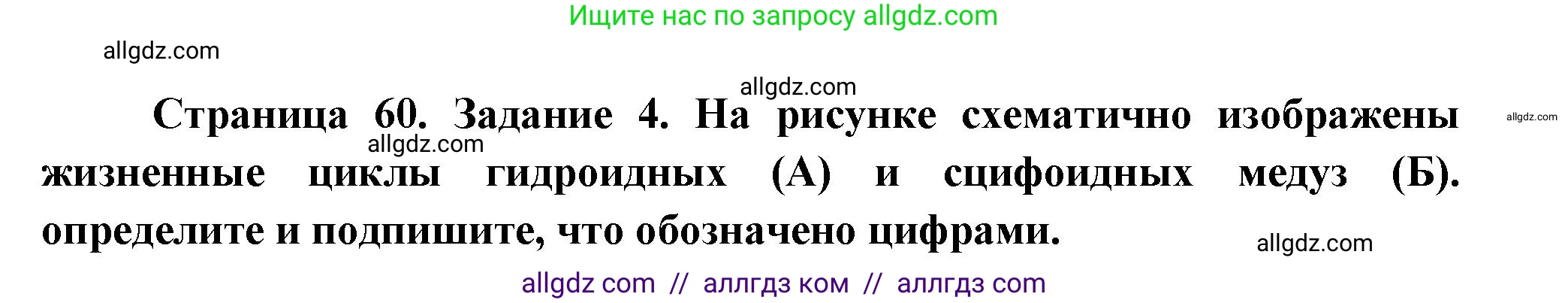 Биология, 8 класс рабочая тетрадь, авторы: Суматохин Сергей Витальевич, Пасечник Владимир Васильевич, Гапонюк Зоя Георгиевна, издательство Просвещение, Москва, 2023, оранжевого цвета, страница 60, номер 4, Решение