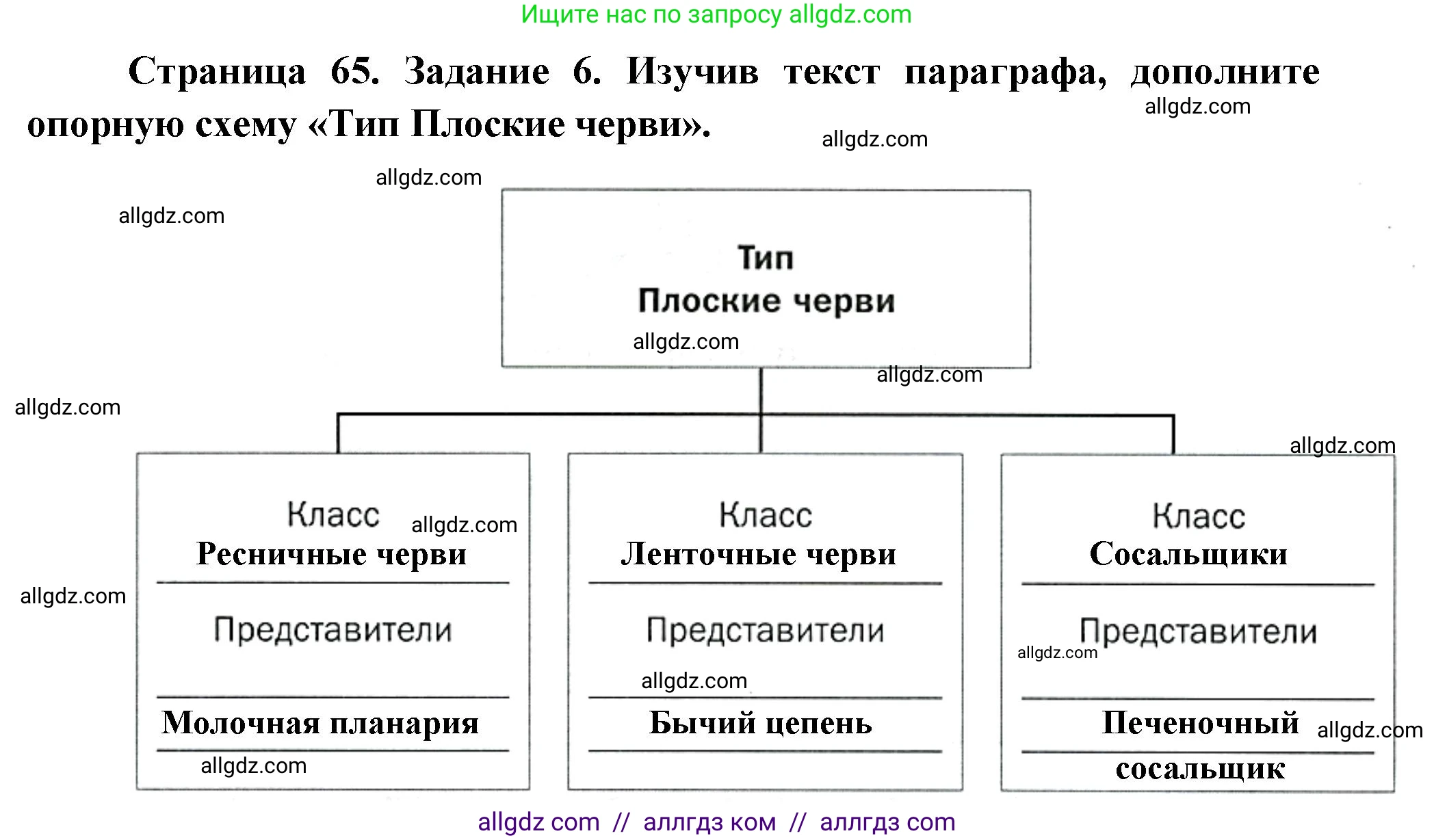 Биология, 8 класс рабочая тетрадь, авторы: Суматохин Сергей Витальевич, Пасечник Владимир Васильевич, Гапонюк Зоя Георгиевна, издательство Просвещение, Москва, 2023, оранжевого цвета, страница 65, номер 6, Решение