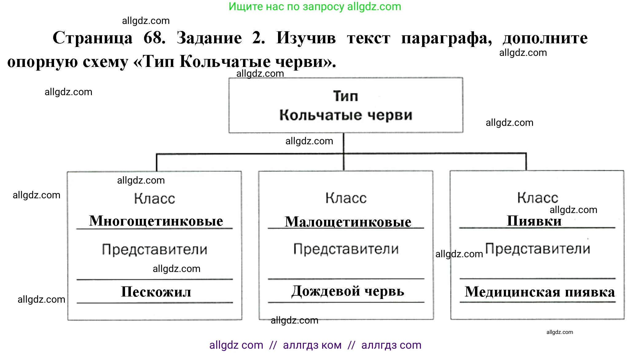 Биология, 8 класс рабочая тетрадь, авторы: Суматохин Сергей Витальевич, Пасечник Владимир Васильевич, Гапонюк Зоя Георгиевна, издательство Просвещение, Москва, 2023, оранжевого цвета, страница 68, номер 2, Решение