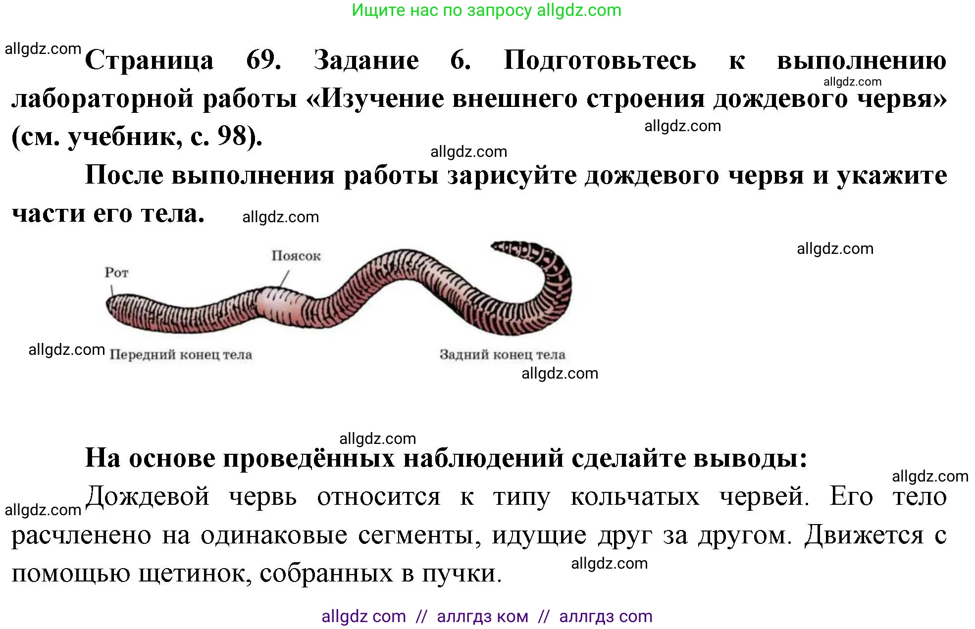 Биология, 8 класс рабочая тетрадь, авторы: Суматохин Сергей Витальевич, Пасечник Владимир Васильевич, Гапонюк Зоя Георгиевна, издательство Просвещение, Москва, 2023, оранжевого цвета, страница 69, номер 6, Решение