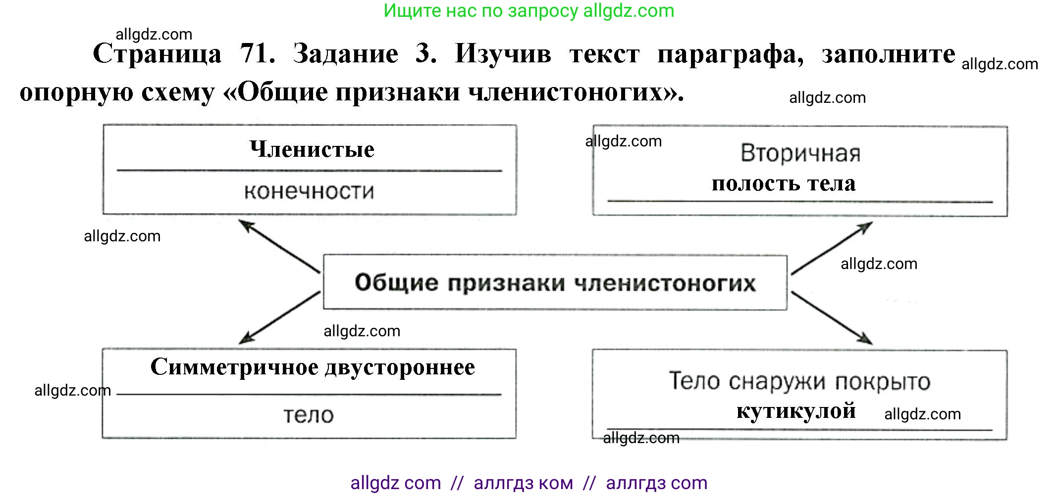 Биология, 8 класс рабочая тетрадь, авторы: Суматохин Сергей Витальевич, Пасечник Владимир Васильевич, Гапонюк Зоя Георгиевна, издательство Просвещение, Москва, 2023, оранжевого цвета, страница 71, номер 3, Решение