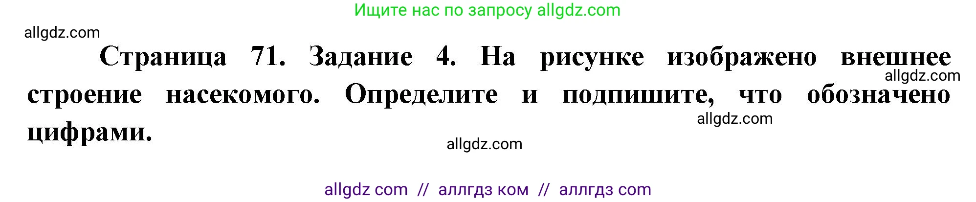 Биология, 8 класс рабочая тетрадь, авторы: Суматохин Сергей Витальевич, Пасечник Владимир Васильевич, Гапонюк Зоя Георгиевна, издательство Просвещение, Москва, 2023, оранжевого цвета, страница 71, номер 4, Решение