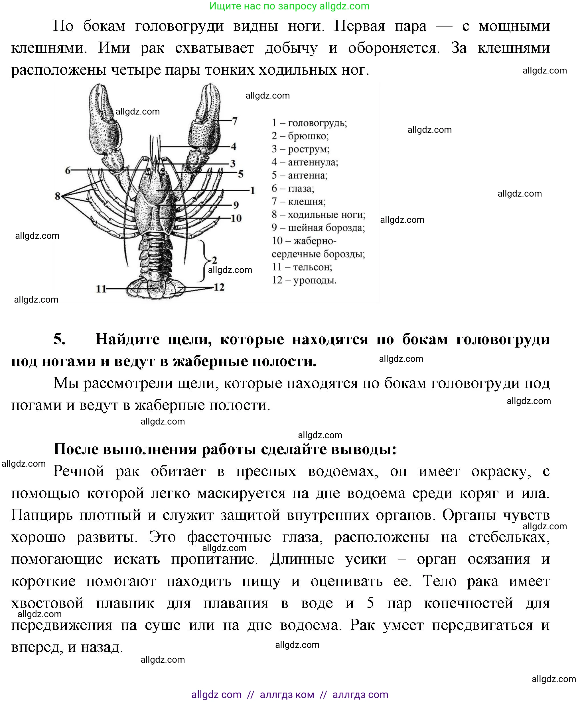 Биология, 8 класс рабочая тетрадь, авторы: Суматохин Сергей Витальевич, Пасечник Владимир Васильевич, Гапонюк Зоя Георгиевна, издательство Просвещение, Москва, 2023, оранжевого цвета, страница 73, номер 5, Решение (продолжение 2)