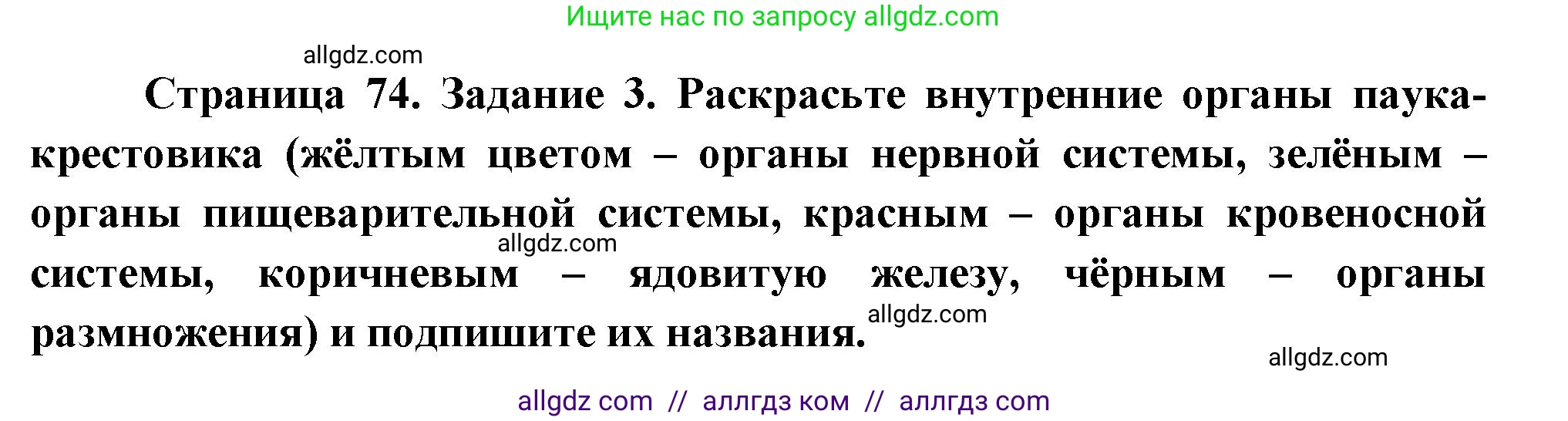 Биология, 8 класс рабочая тетрадь, авторы: Суматохин Сергей Витальевич, Пасечник Владимир Васильевич, Гапонюк Зоя Георгиевна, издательство Просвещение, Москва, 2023, оранжевого цвета, страница 74, номер 3, Решение