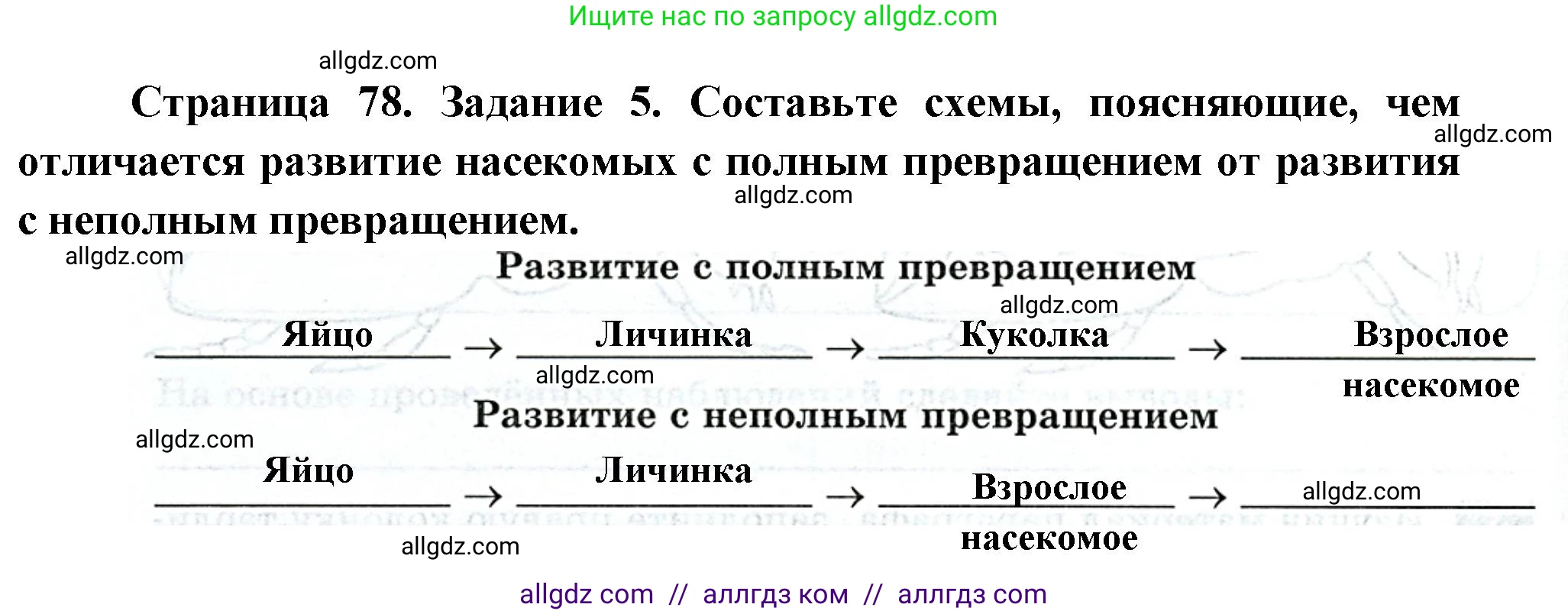Биология, 8 класс рабочая тетрадь, авторы: Суматохин Сергей Витальевич, Пасечник Владимир Васильевич, Гапонюк Зоя Георгиевна, издательство Просвещение, Москва, 2023, оранжевого цвета, страница 78, номер 5, Решение