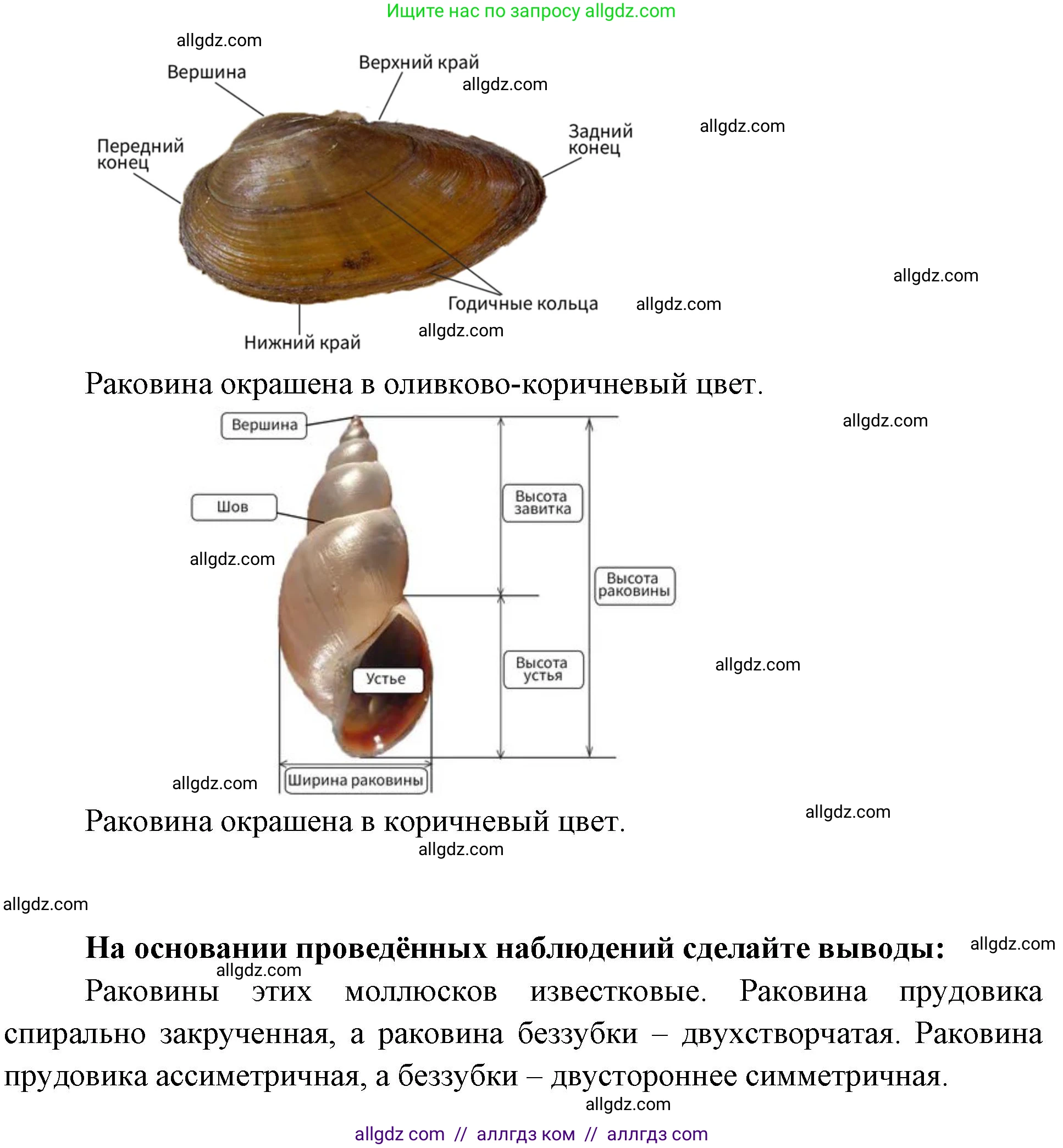 Биология, 8 класс рабочая тетрадь, авторы: Суматохин Сергей Витальевич, Пасечник Владимир Васильевич, Гапонюк Зоя Георгиевна, издательство Просвещение, Москва, 2023, оранжевого цвета, страница 83, номер 6, Решение (продолжение 2)