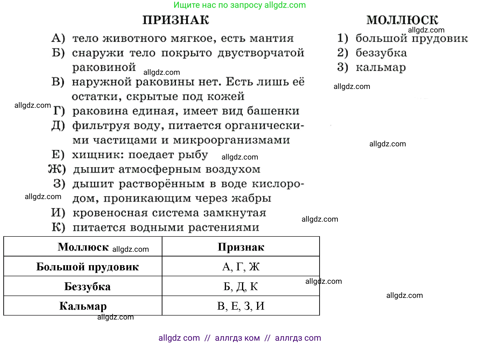 Биология, 8 класс рабочая тетрадь, авторы: Суматохин Сергей Витальевич, Пасечник Владимир Васильевич, Гапонюк Зоя Георгиевна, издательство Просвещение, Москва, 2023, оранжевого цвета, страница 89, номер 2, Решение (продолжение 2)