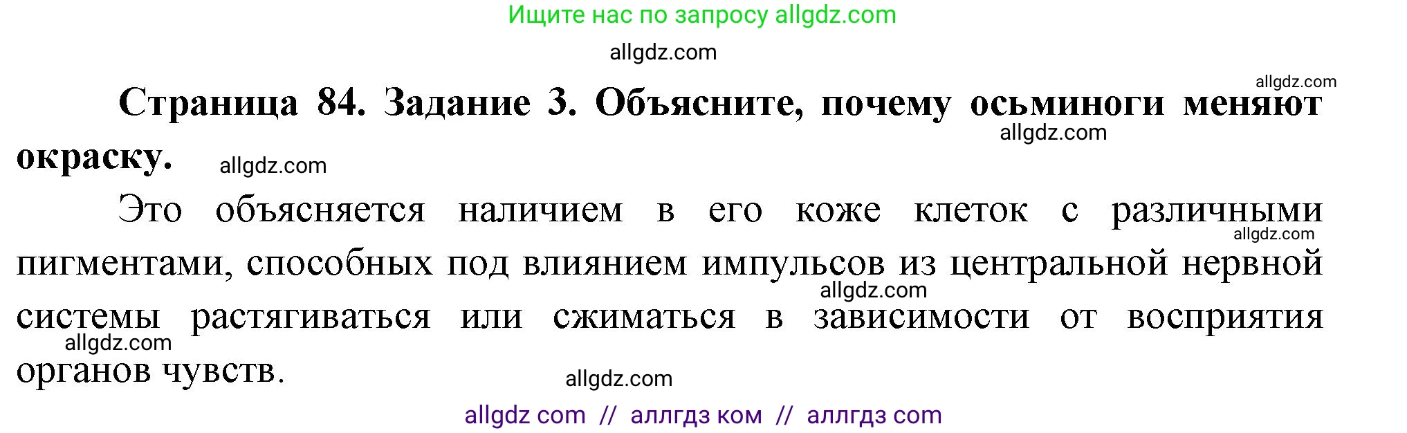 Биология, 8 класс рабочая тетрадь, авторы: Суматохин Сергей Витальевич, Пасечник Владимир Васильевич, Гапонюк Зоя Георгиевна, издательство Просвещение, Москва, 2023, оранжевого цвета, страница 84, номер 3, Решение