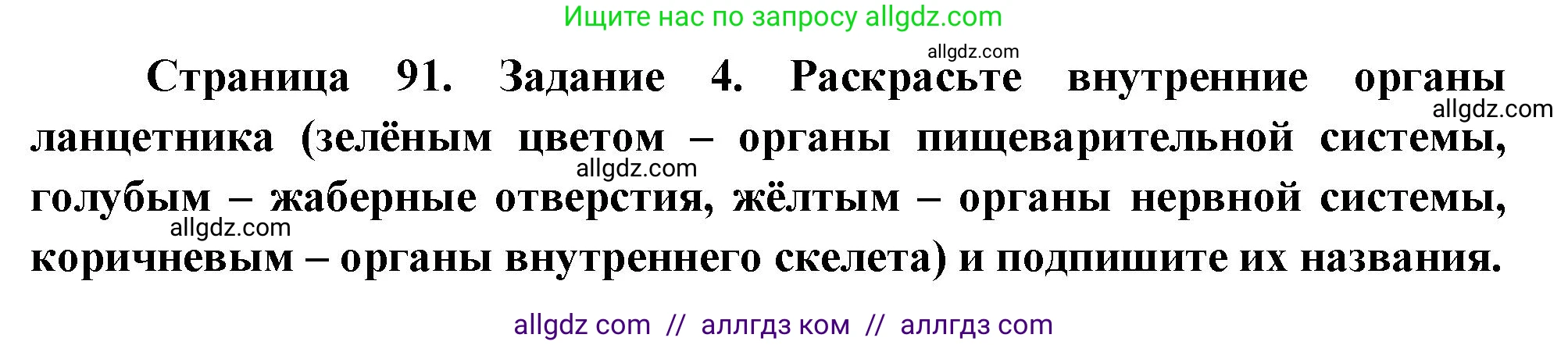 Биология, 8 класс рабочая тетрадь, авторы: Суматохин Сергей Витальевич, Пасечник Владимир Васильевич, Гапонюк Зоя Георгиевна, издательство Просвещение, Москва, 2023, оранжевого цвета, страница 91, номер 4, Решение