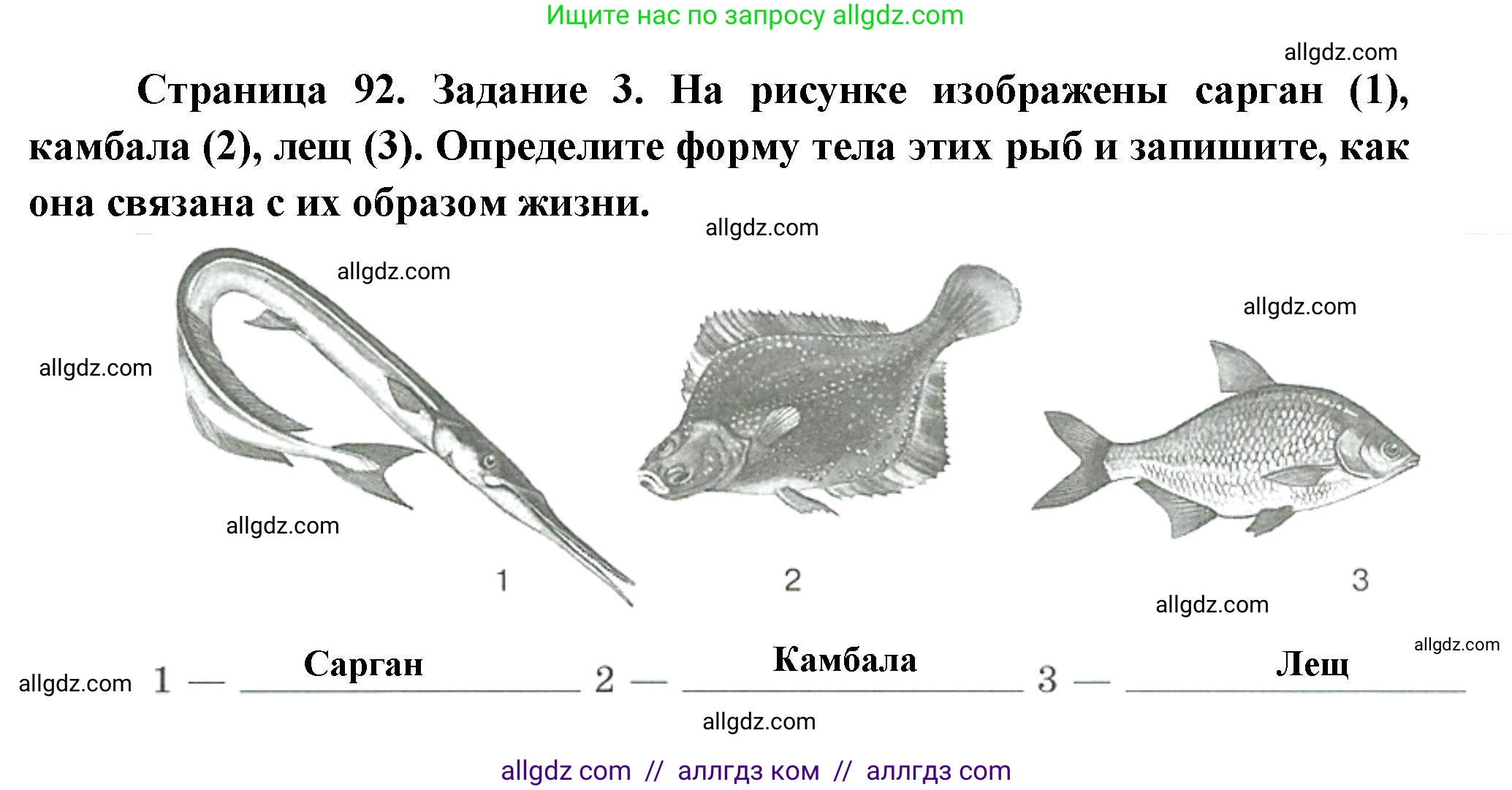Биология, 8 класс рабочая тетрадь, авторы: Суматохин Сергей Витальевич, Пасечник Владимир Васильевич, Гапонюк Зоя Георгиевна, издательство Просвещение, Москва, 2023, оранжевого цвета, страница 92, номер 3, Решение