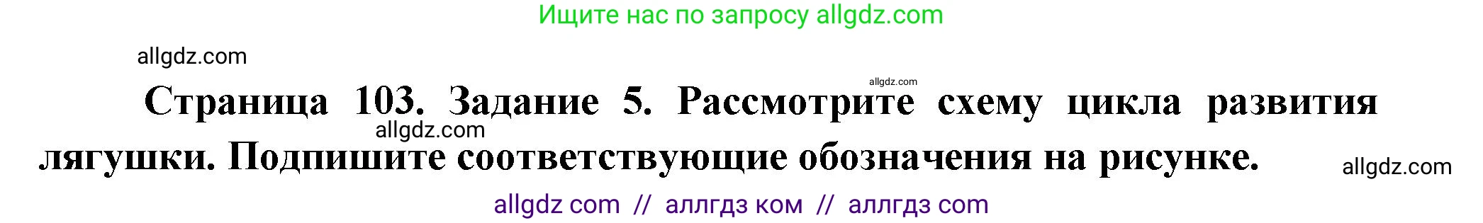 Биология, 8 класс рабочая тетрадь, авторы: Суматохин Сергей Витальевич, Пасечник Владимир Васильевич, Гапонюк Зоя Георгиевна, издательство Просвещение, Москва, 2023, оранжевого цвета, страница 103, номер 5, Решение