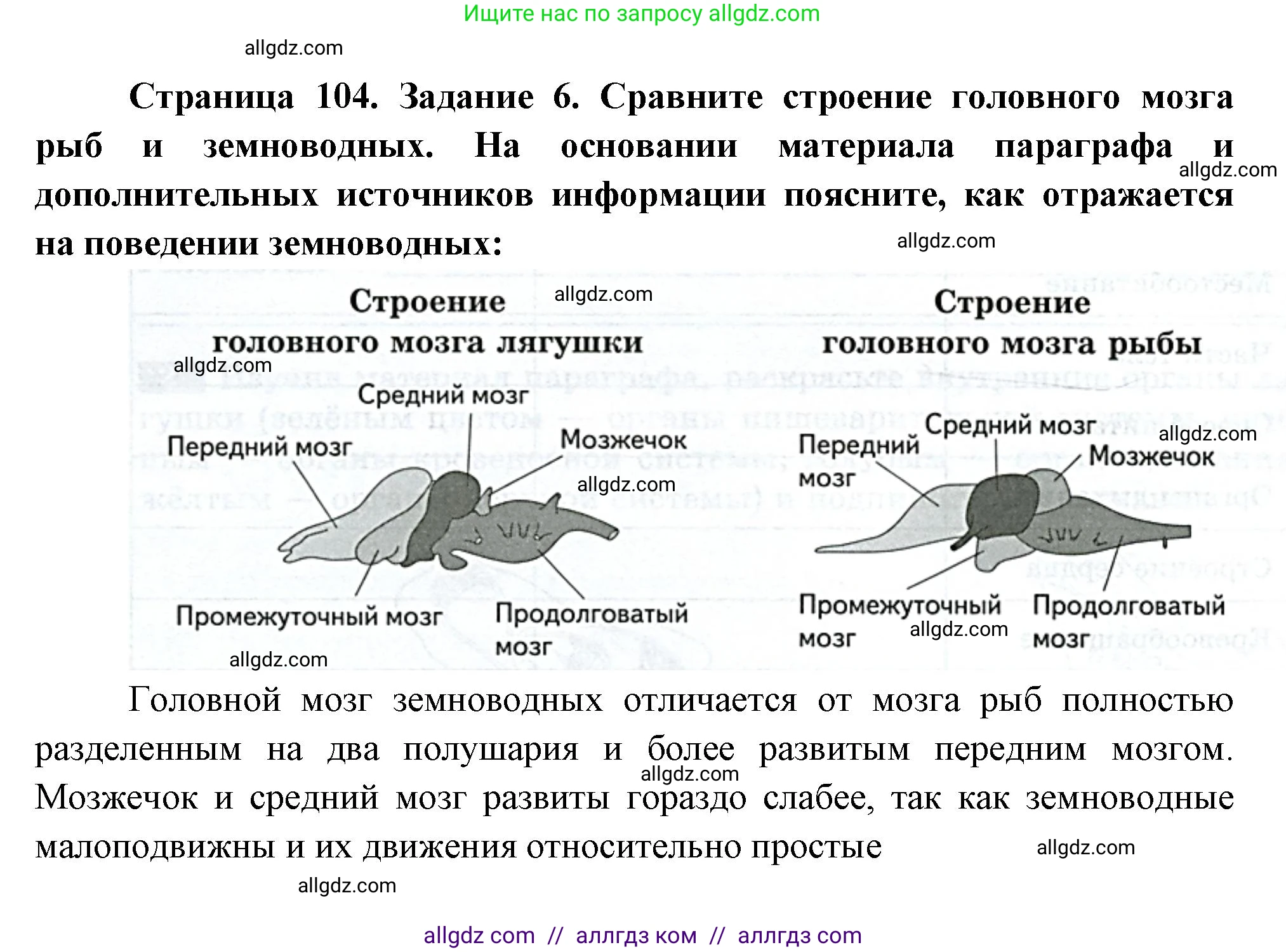 Биология, 8 класс рабочая тетрадь, авторы: Суматохин Сергей Витальевич, Пасечник Владимир Васильевич, Гапонюк Зоя Георгиевна, издательство Просвещение, Москва, 2023, оранжевого цвета, страница 104, номер 6, Решение