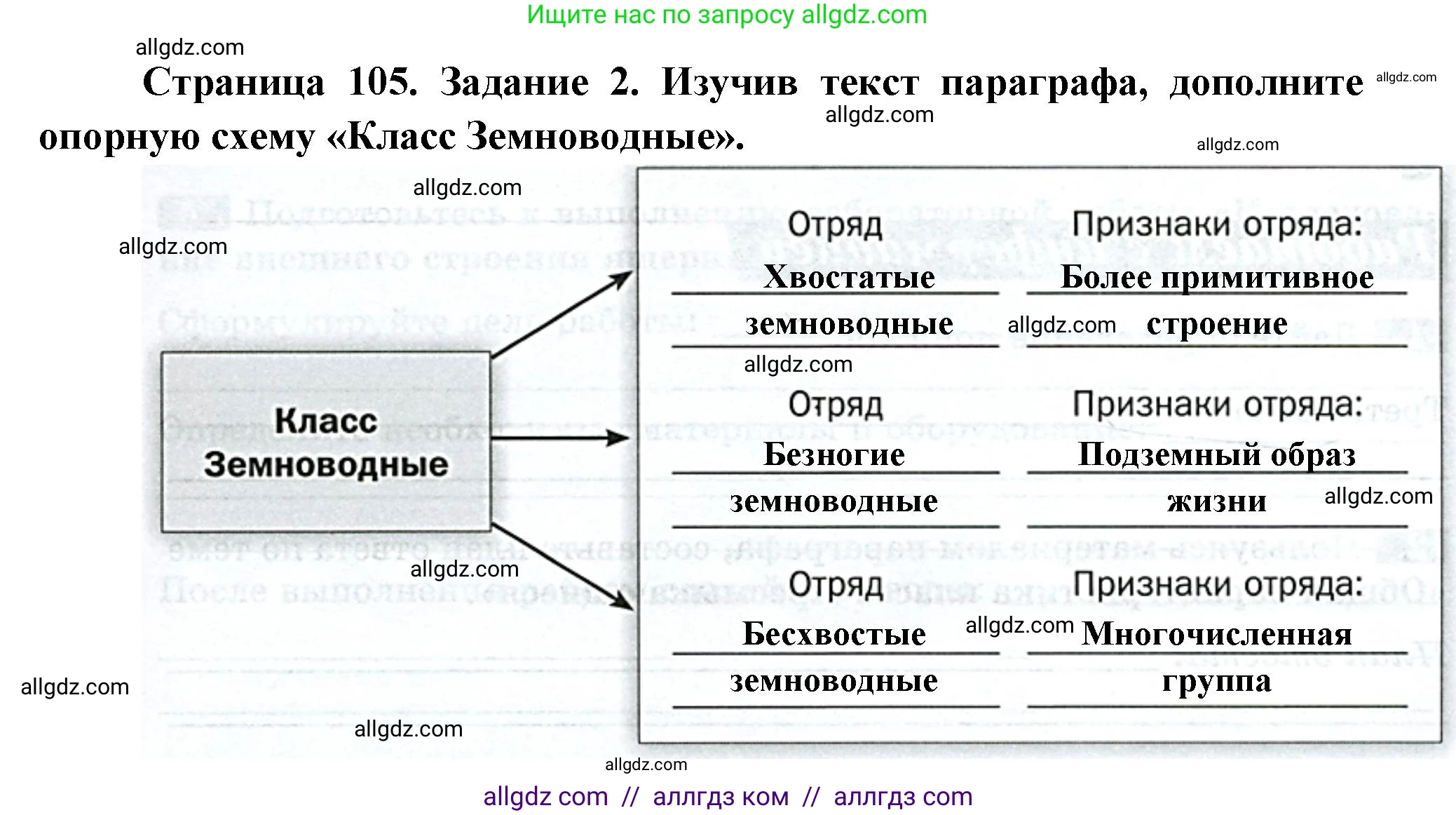 Биология, 8 класс рабочая тетрадь, авторы: Суматохин Сергей Витальевич, Пасечник Владимир Васильевич, Гапонюк Зоя Георгиевна, издательство Просвещение, Москва, 2023, оранжевого цвета, страница 105, номер 2, Решение